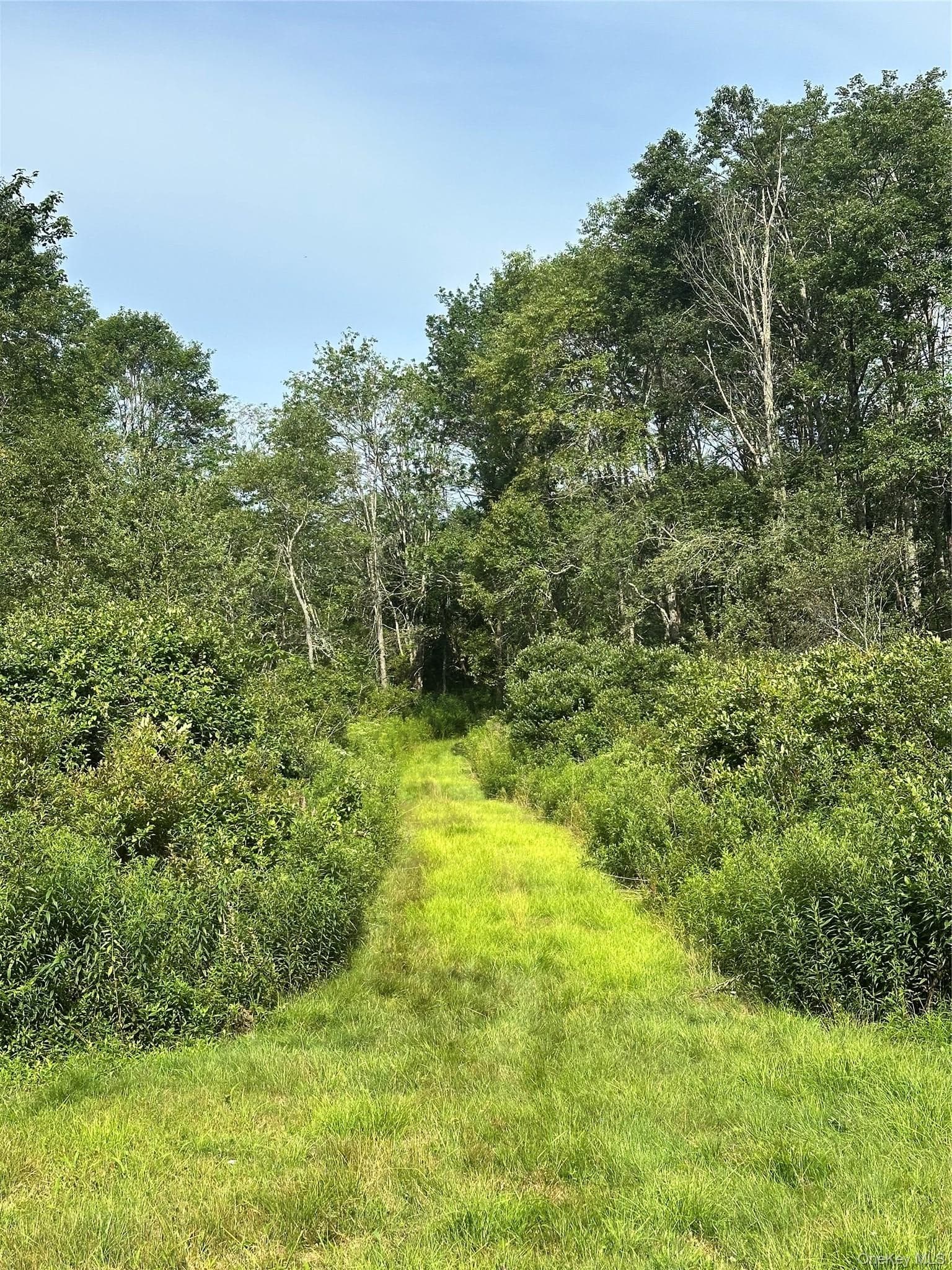 Benton Hollow Road thumbnail 5