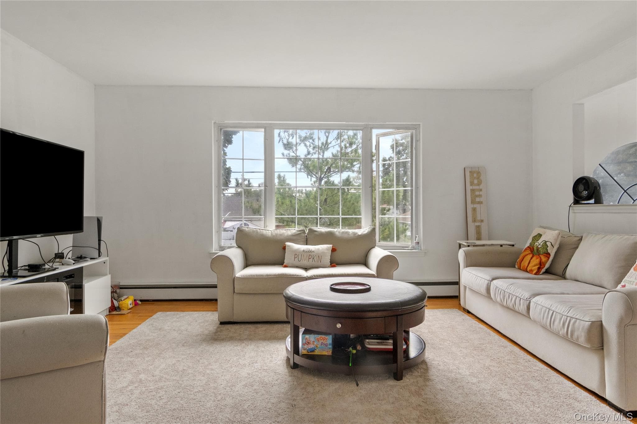 1056 Arthur Street thumbnail 26