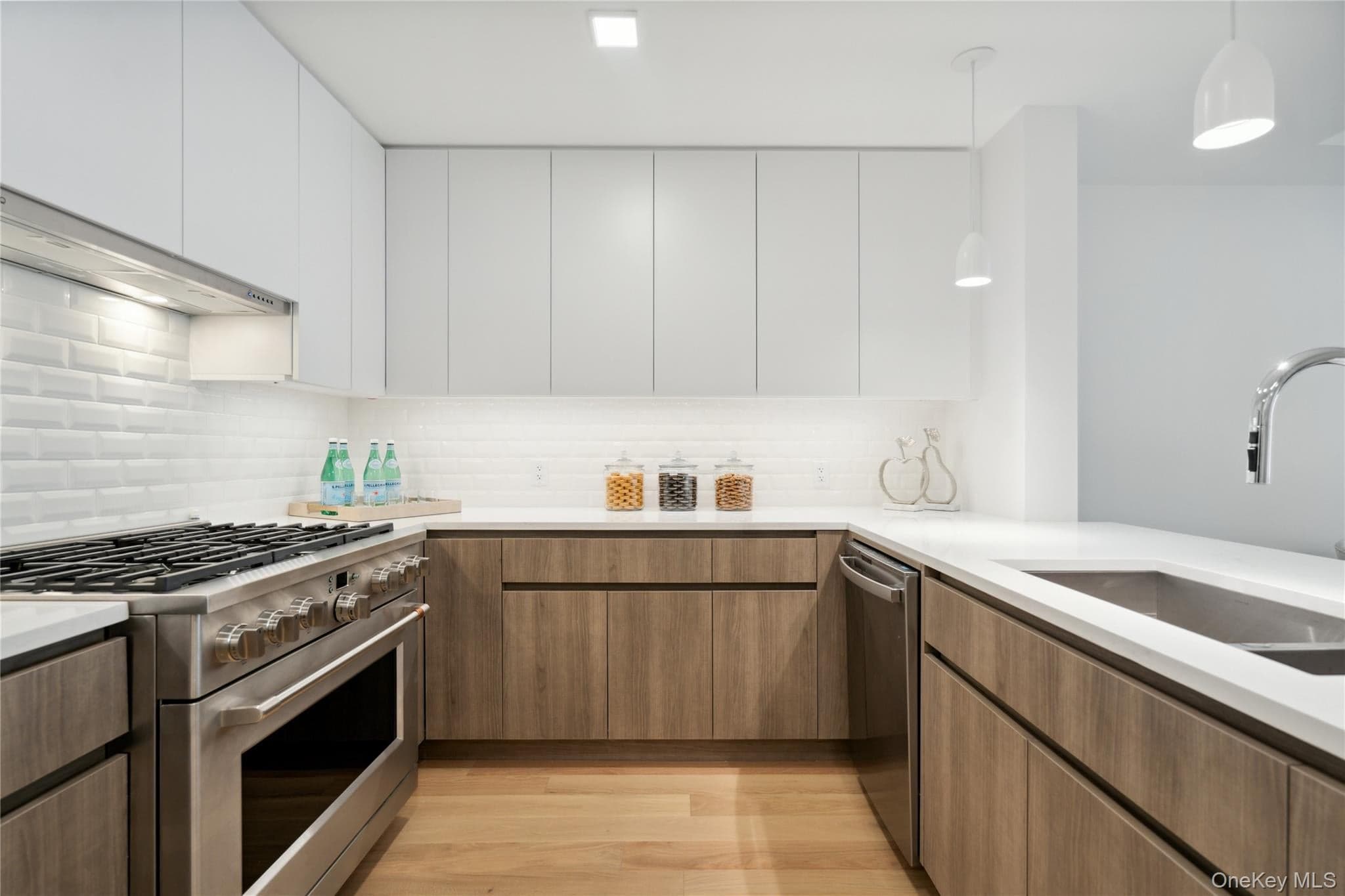 218 Middle Neck Road Unit: 302 thumbnail 25