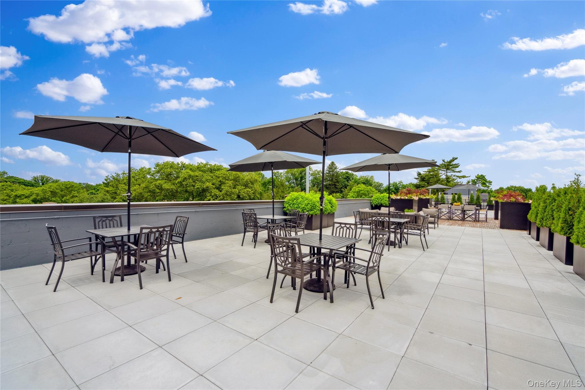 218 Middle Neck Road Unit: 302 thumbnail 7