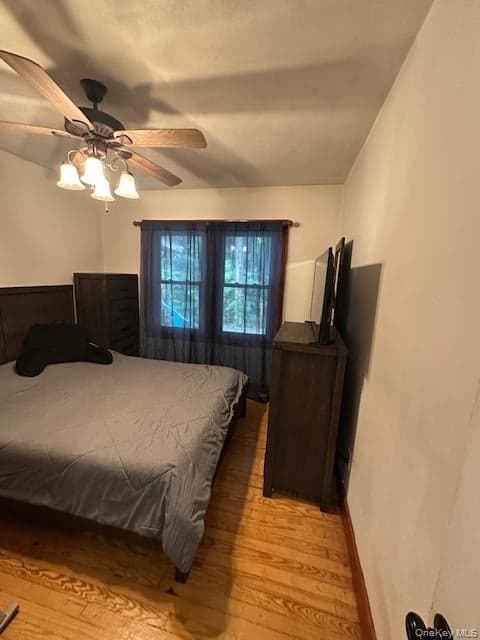 24 Schoolhouse Lane thumbnail 6