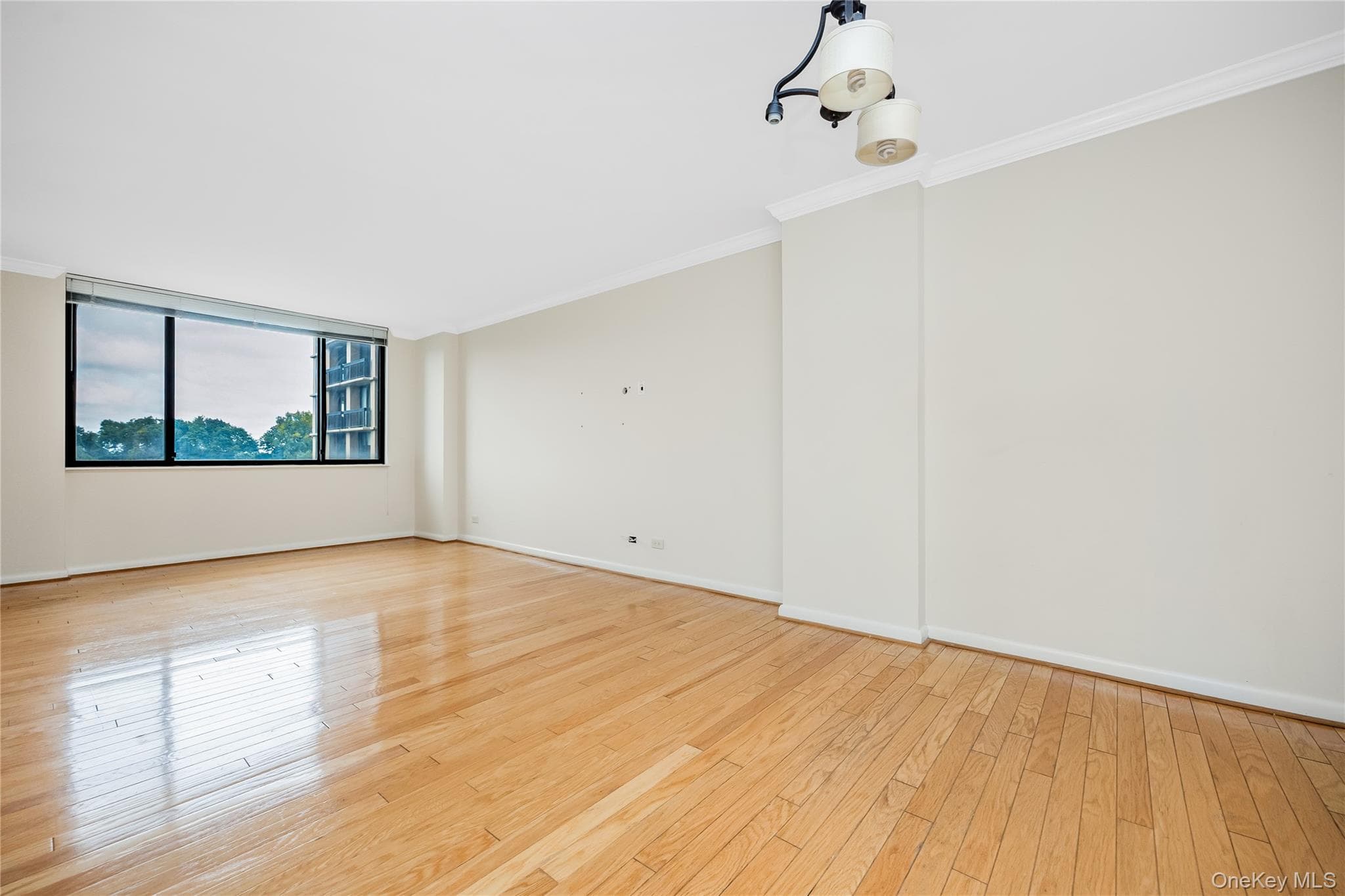 269-10 Grand Central Parkway Unit: 4U thumbnail 5