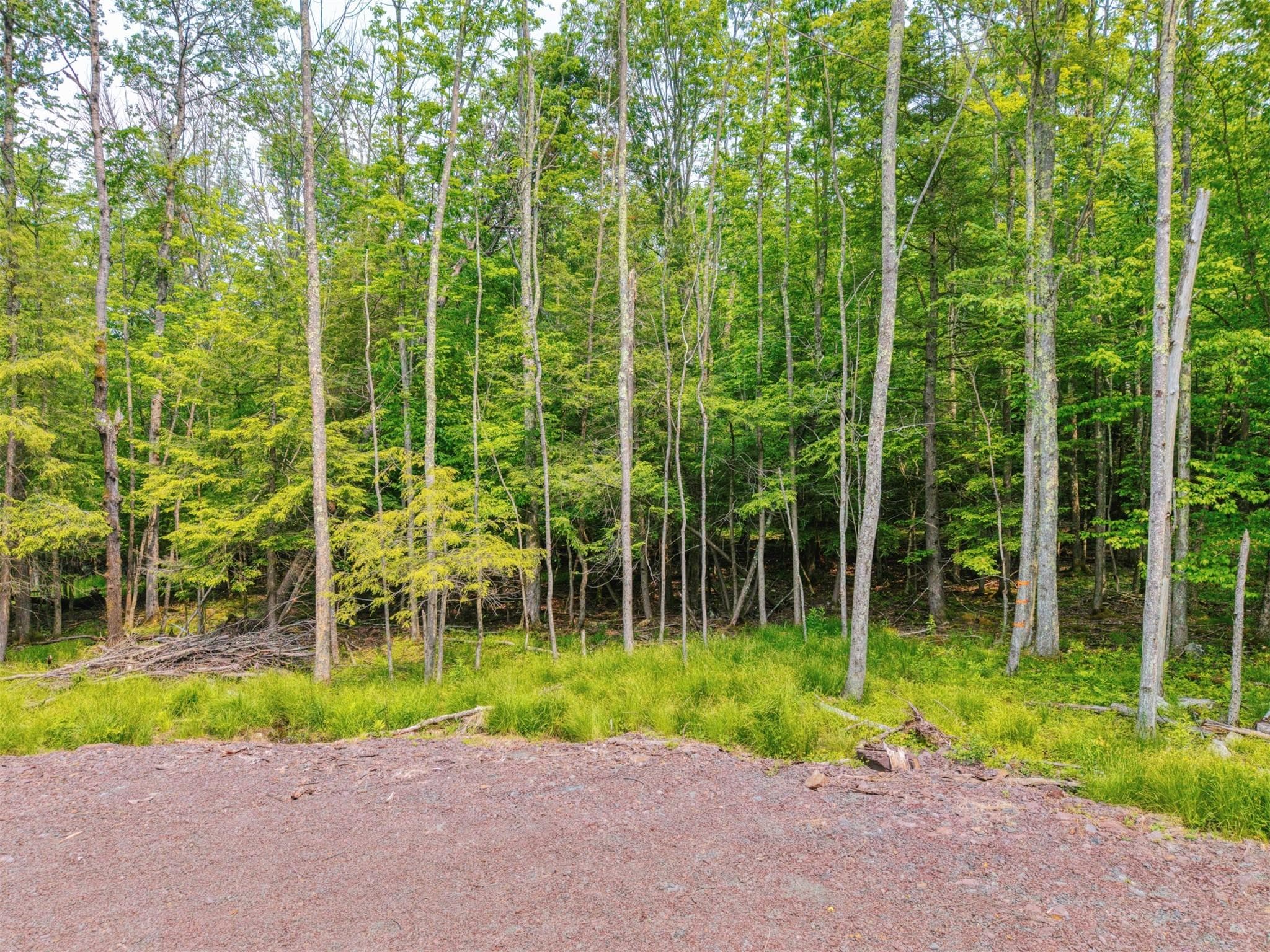 TBD Boulder Brook Lot 13b Road thumbnail 48