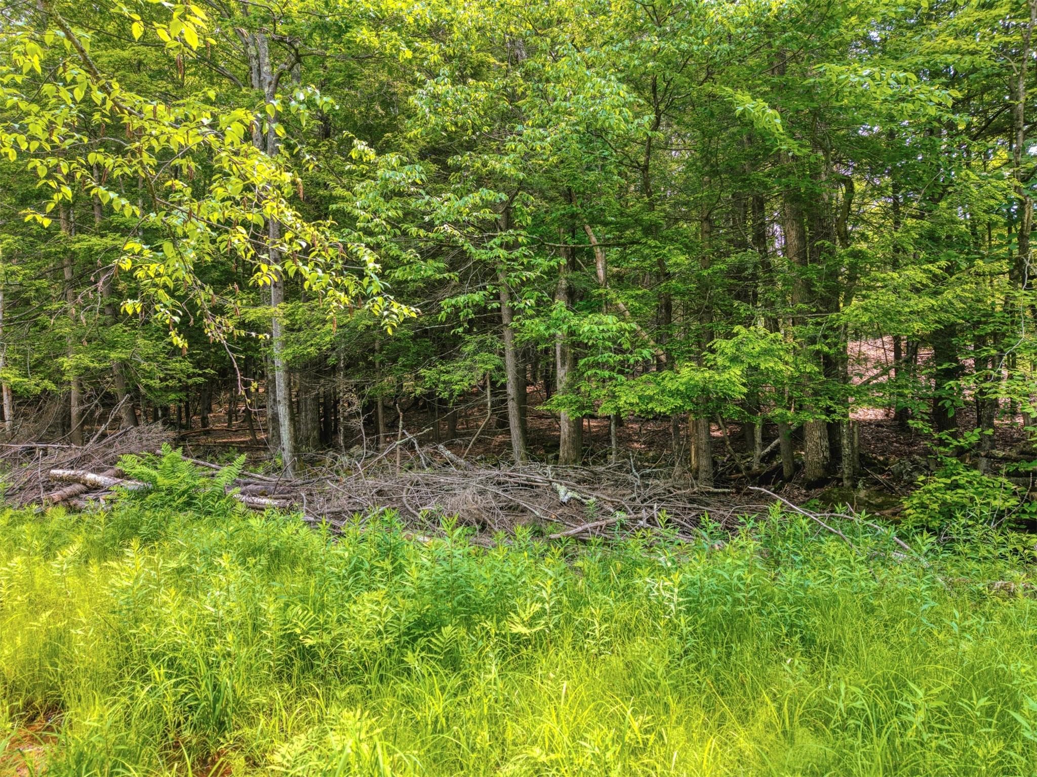 TBD Boulder Brook Lot 13b Road thumbnail 5
