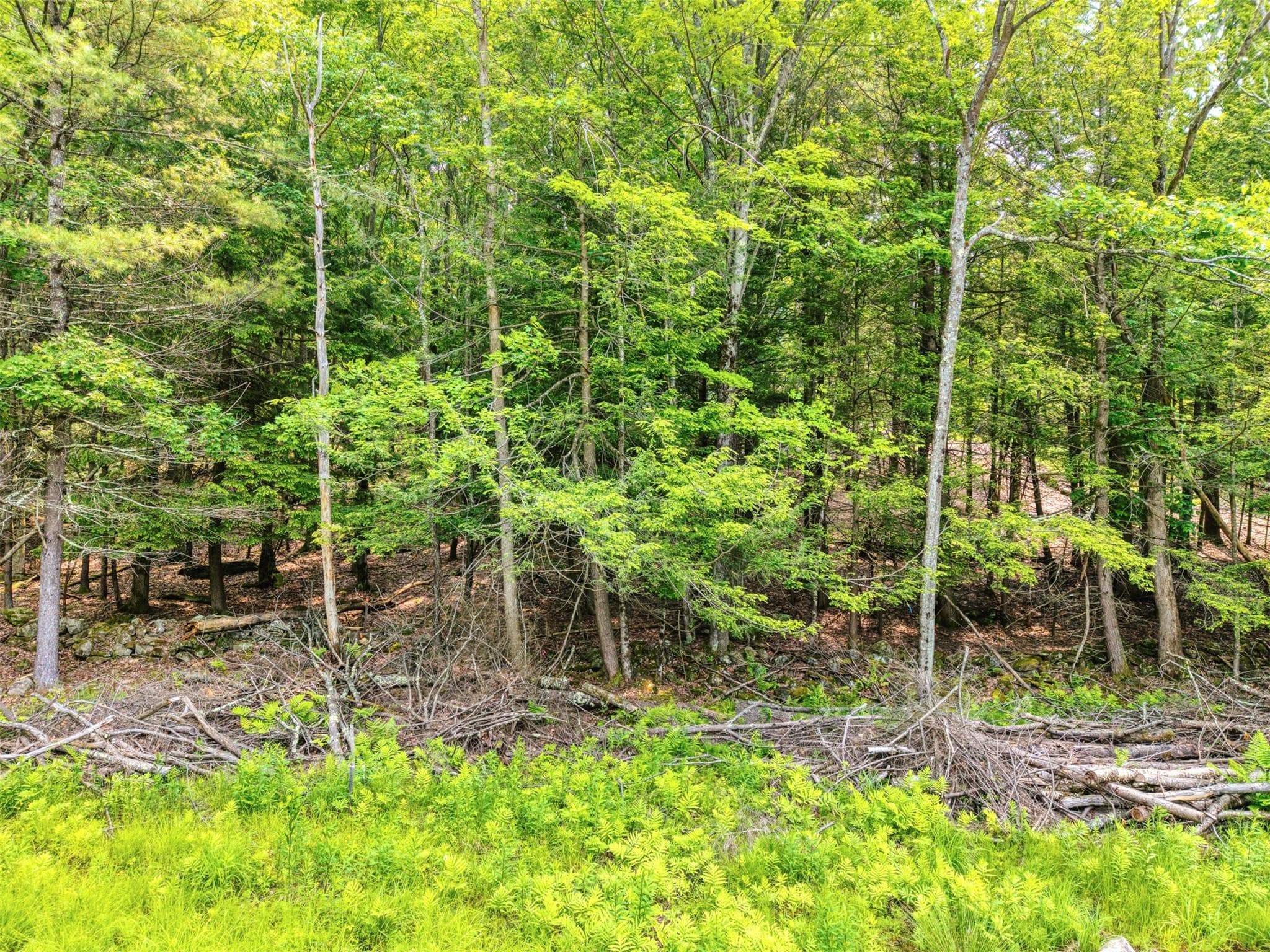 TBD Boulder Brook Lot 13b Road thumbnail 7