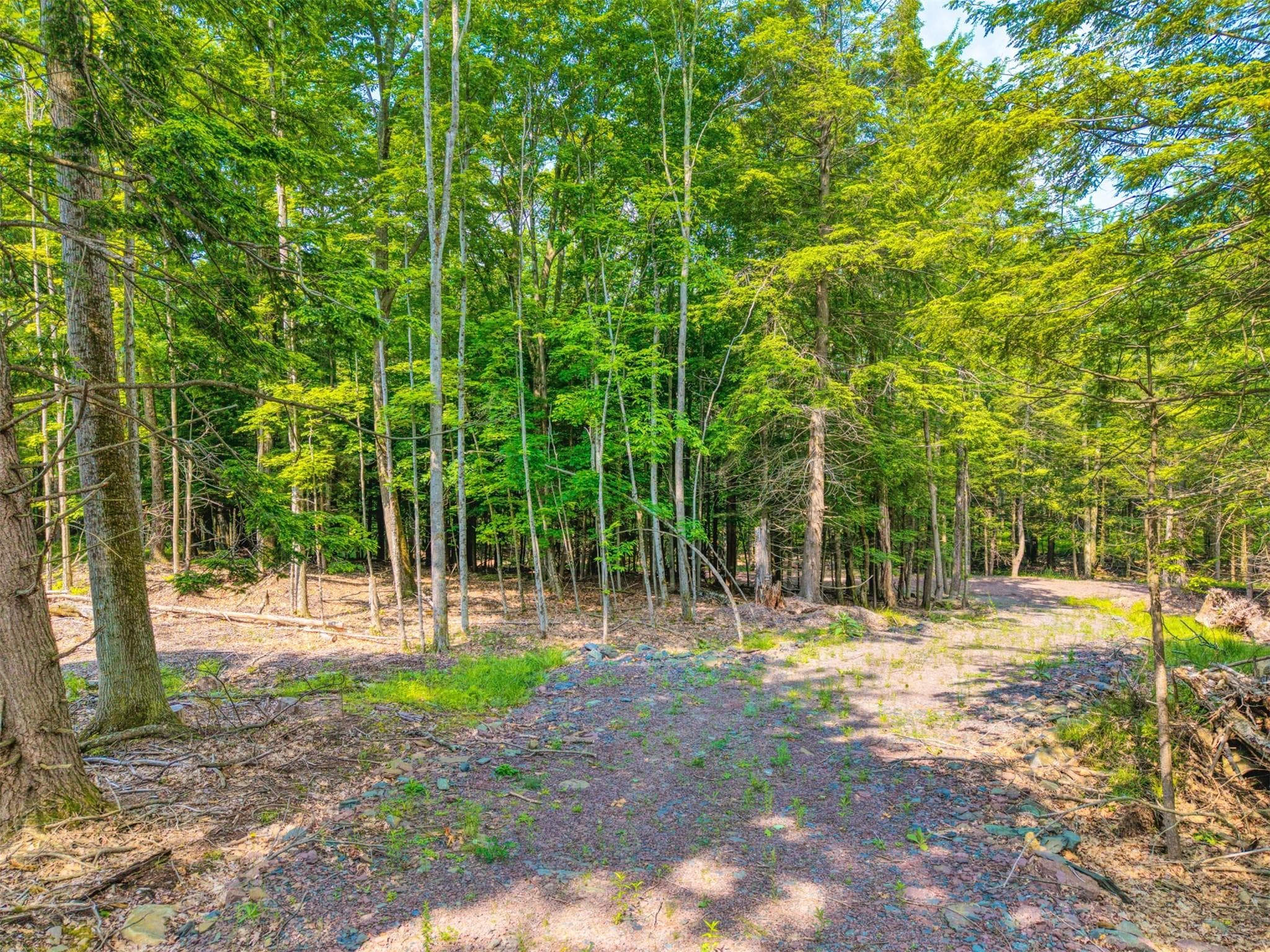 TBD Boulder Brook Lot 13b Road thumbnail 42