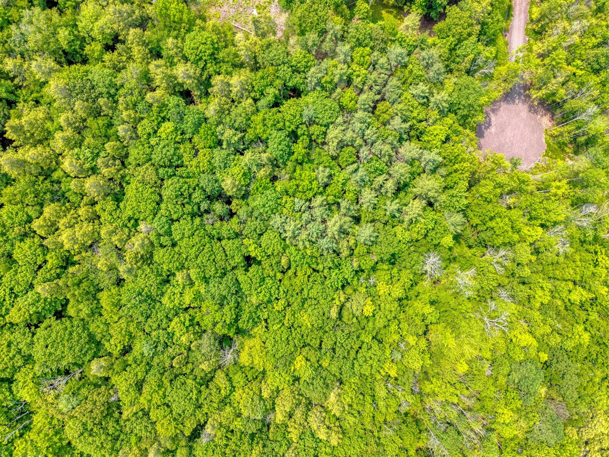 TBD Boulder Brook Lot 13b Road thumbnail 34