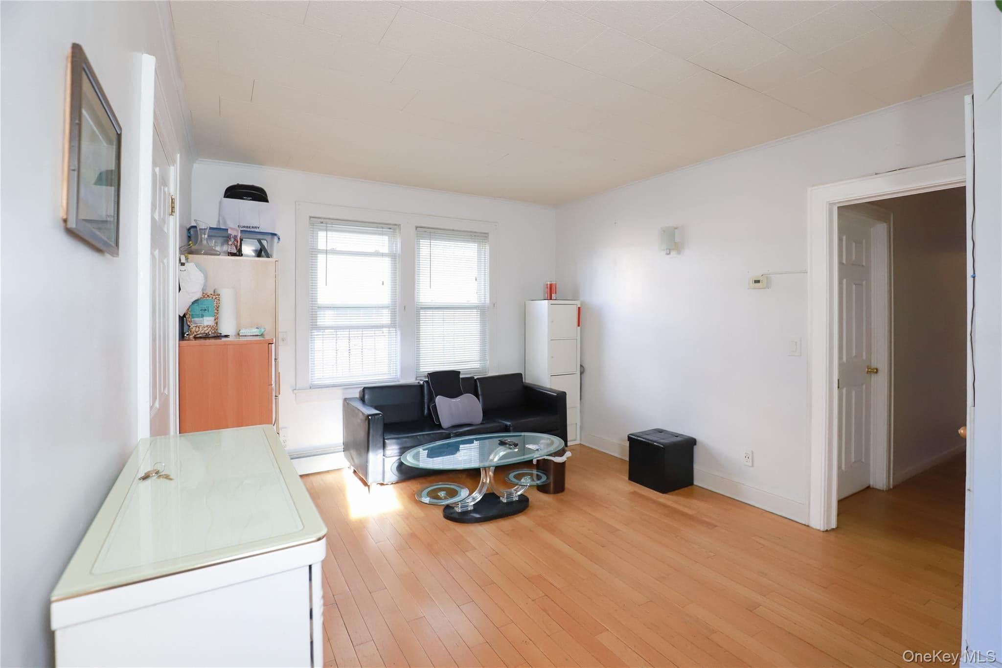 137-58 Kalmia Avenue thumbnail 13