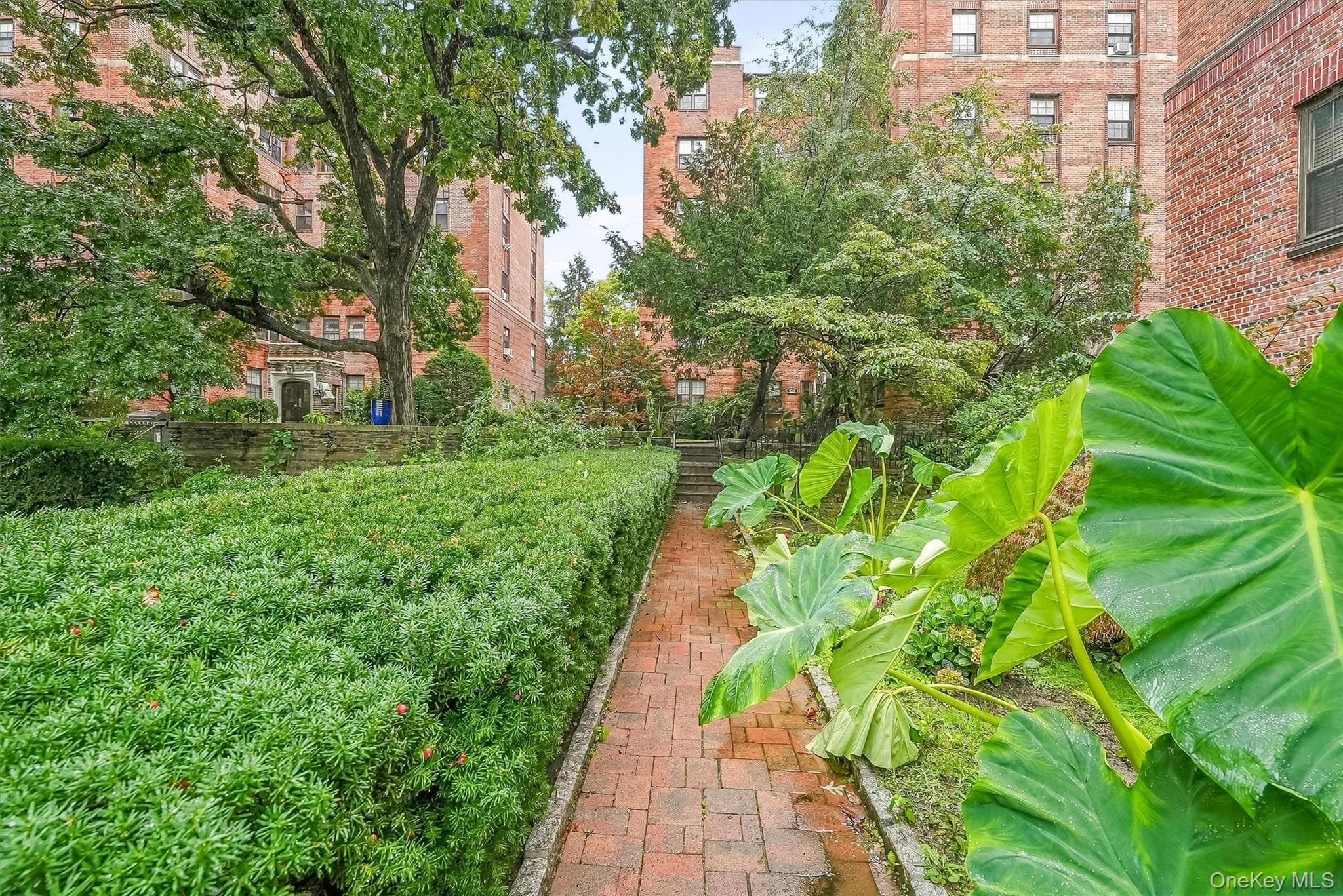 828 Bronx River Road Unit: 1AD thumbnail 35