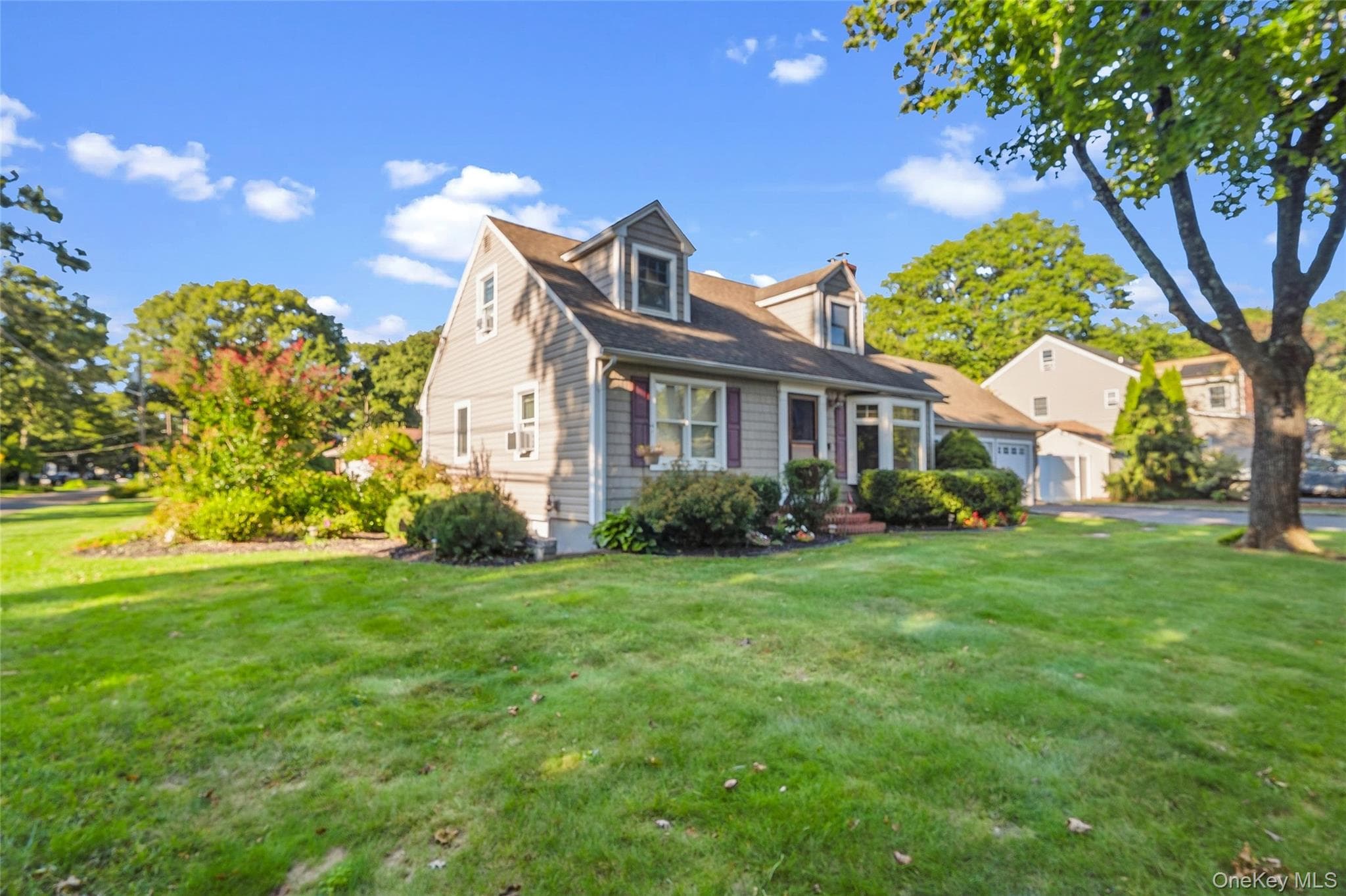 225 Harrison Avenue thumbnail 5