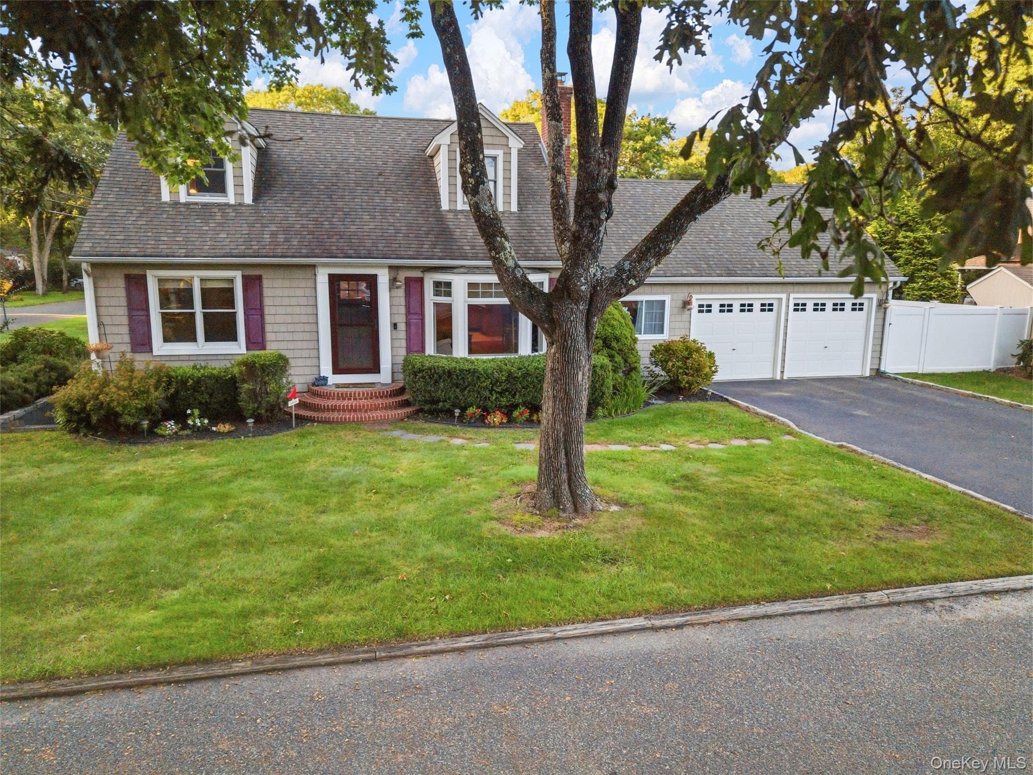 225 Harrison Avenue thumbnail 44