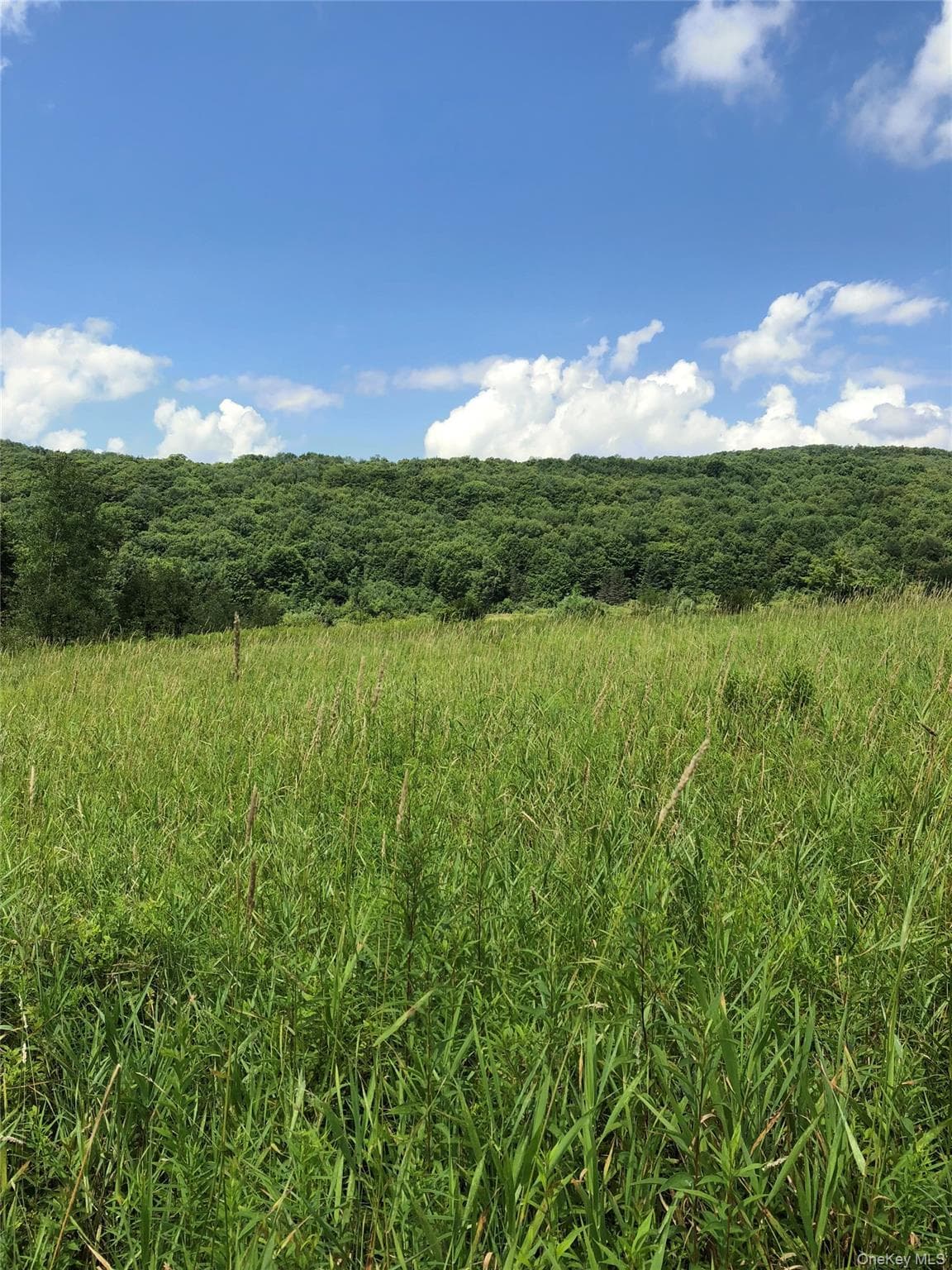 126 E Afton Road photo 1