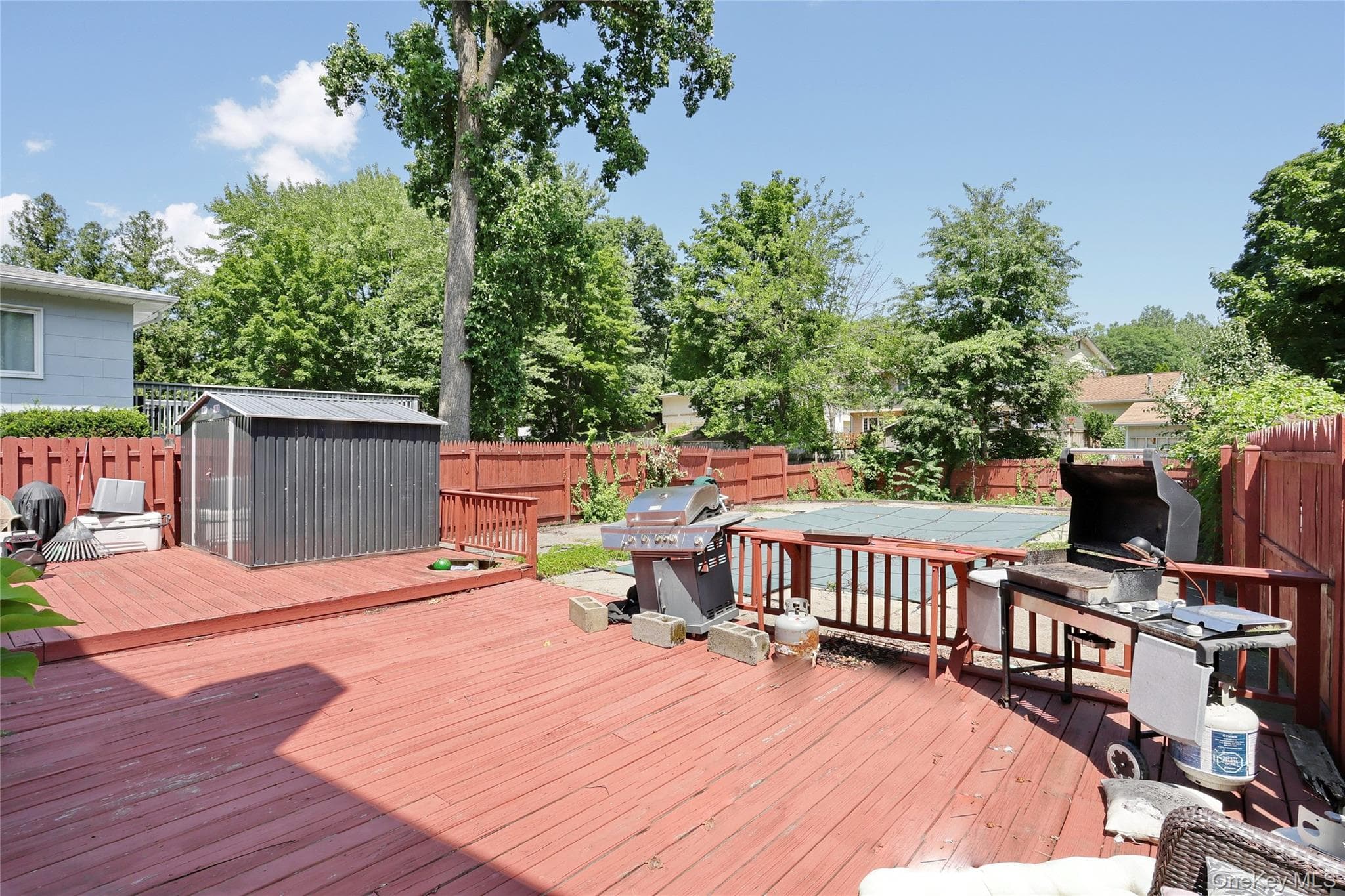11 Phyllis Drive thumbnail 25