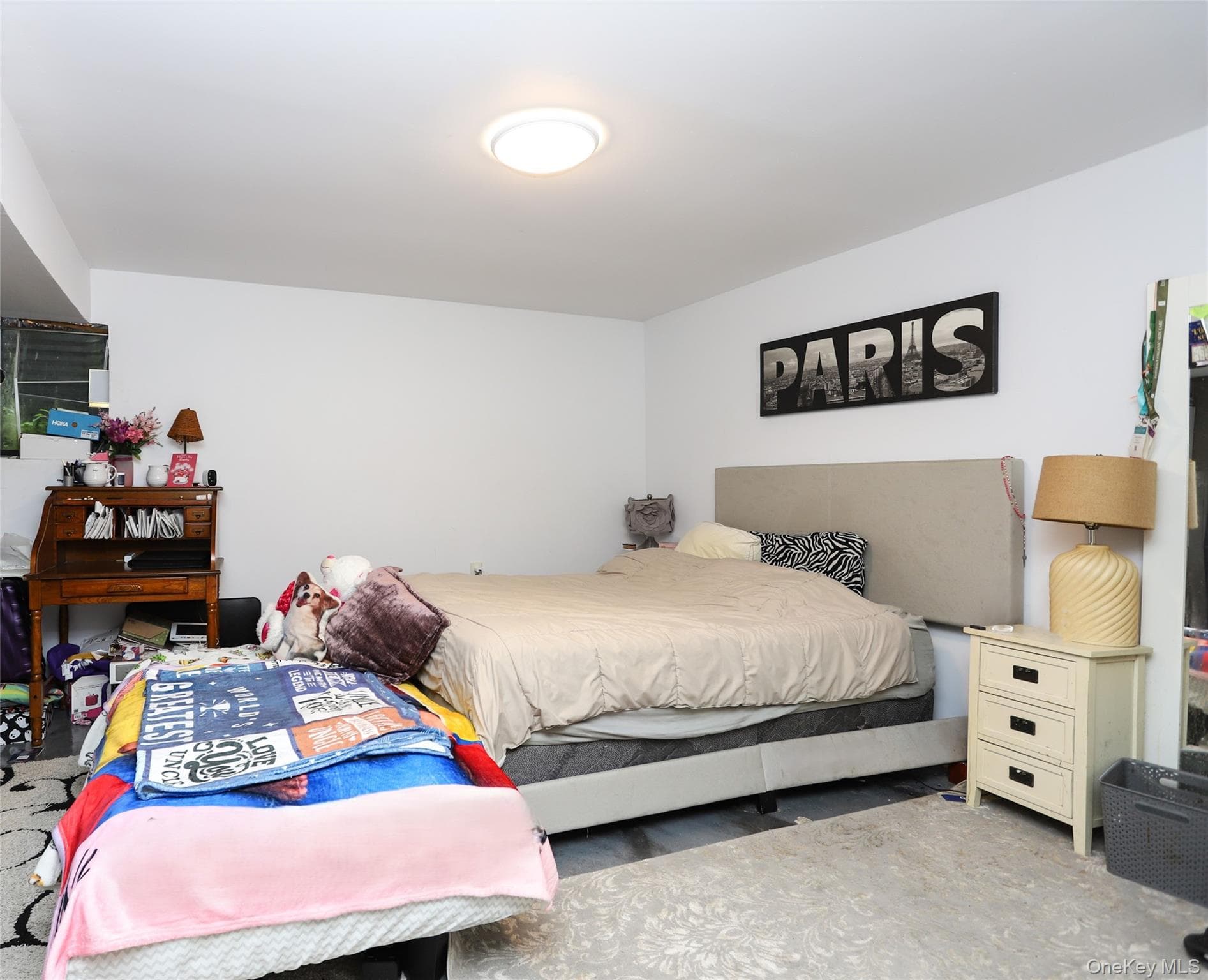 50 Park Drive thumbnail 20