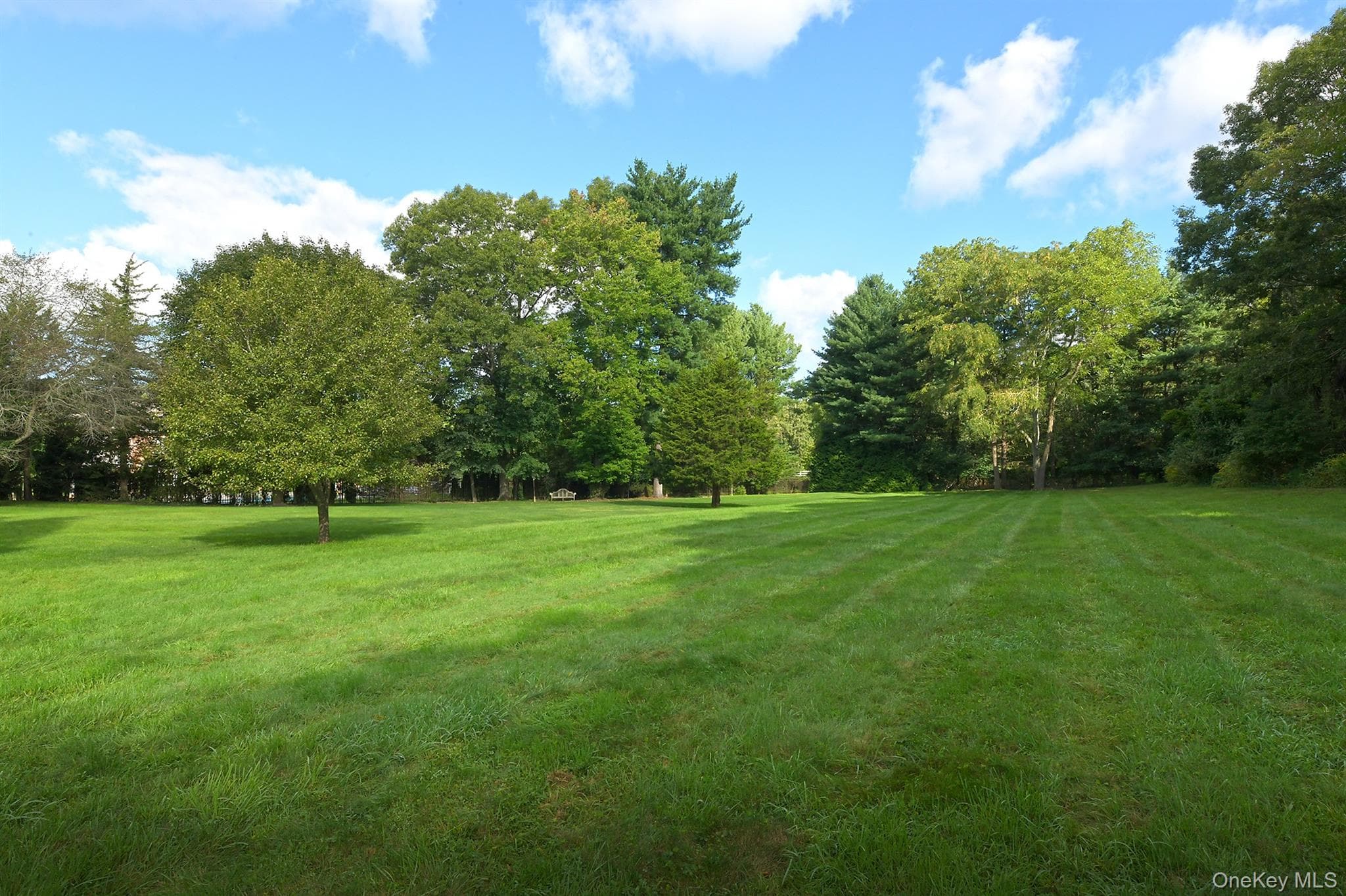1950 Midlane thumbnail 33