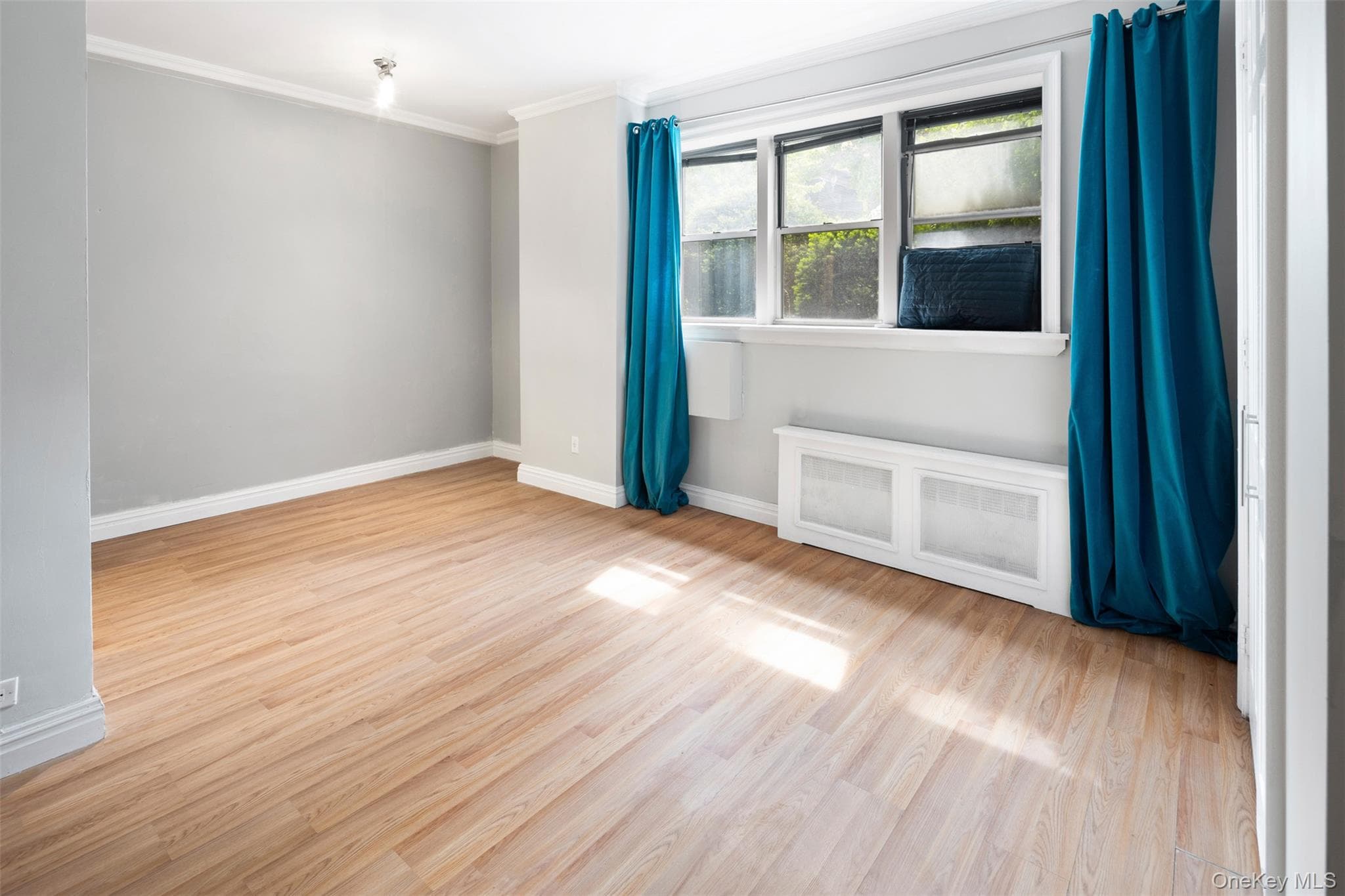 495 E 7th Street Unit: 1J thumbnail 2