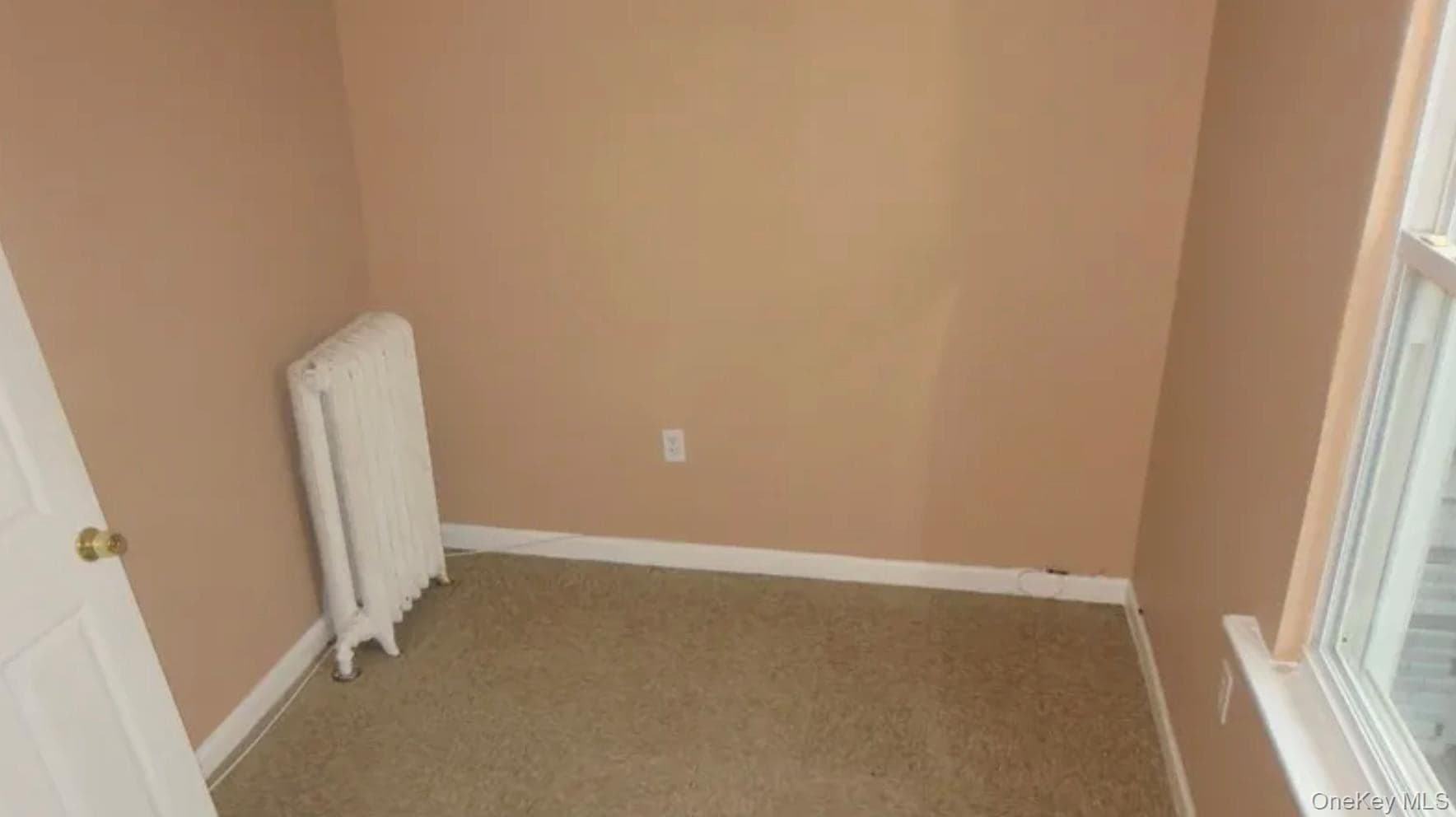 2910 Baisley Avenue thumbnail 25