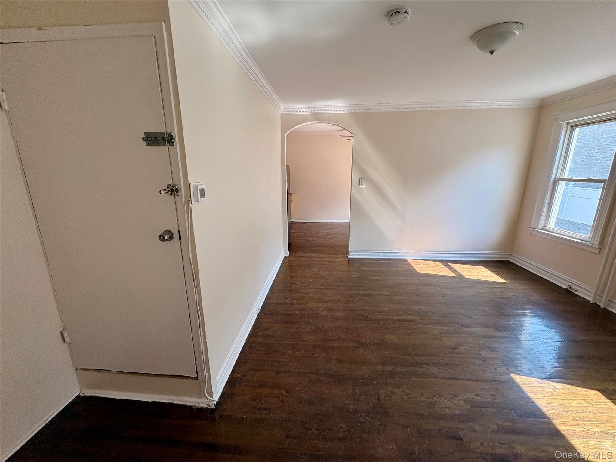 2910 Baisley Avenue thumbnail 14