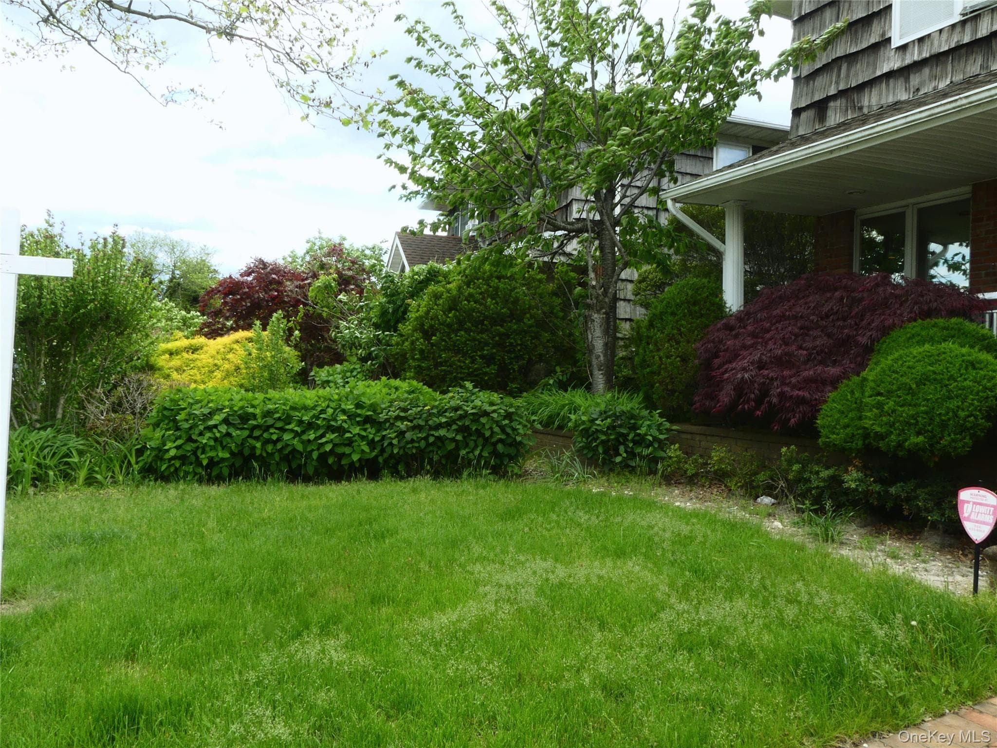 189 Scott Drive thumbnail 4