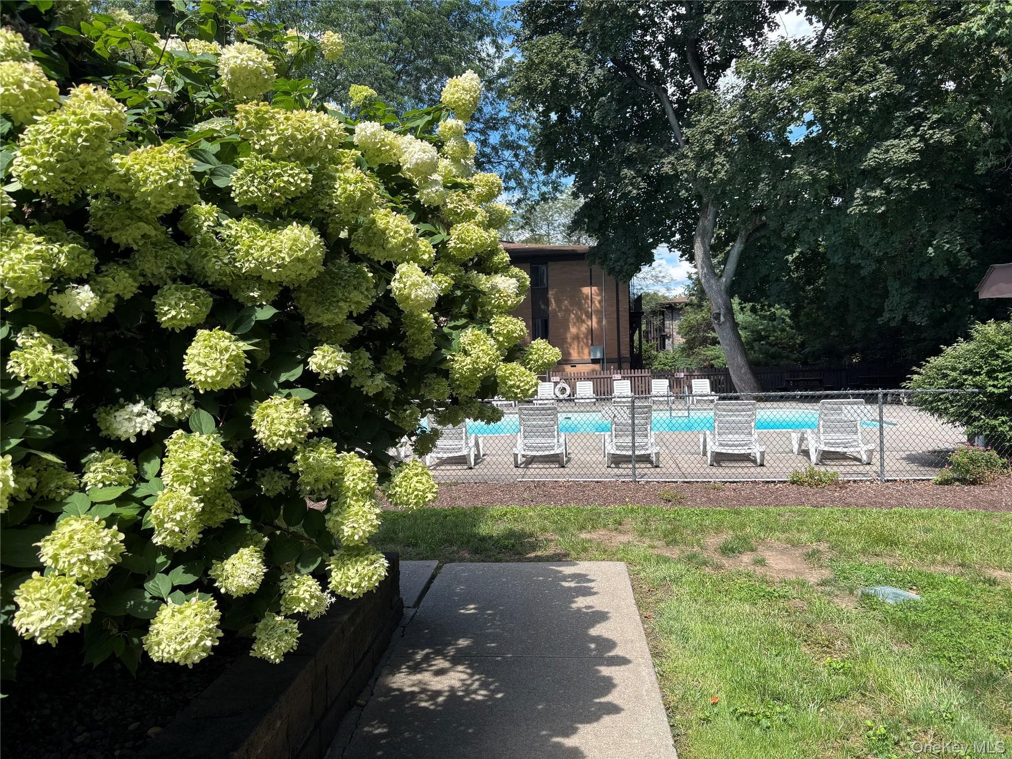 10 Oakwood Terrace TER Unit: 37 thumbnail 23