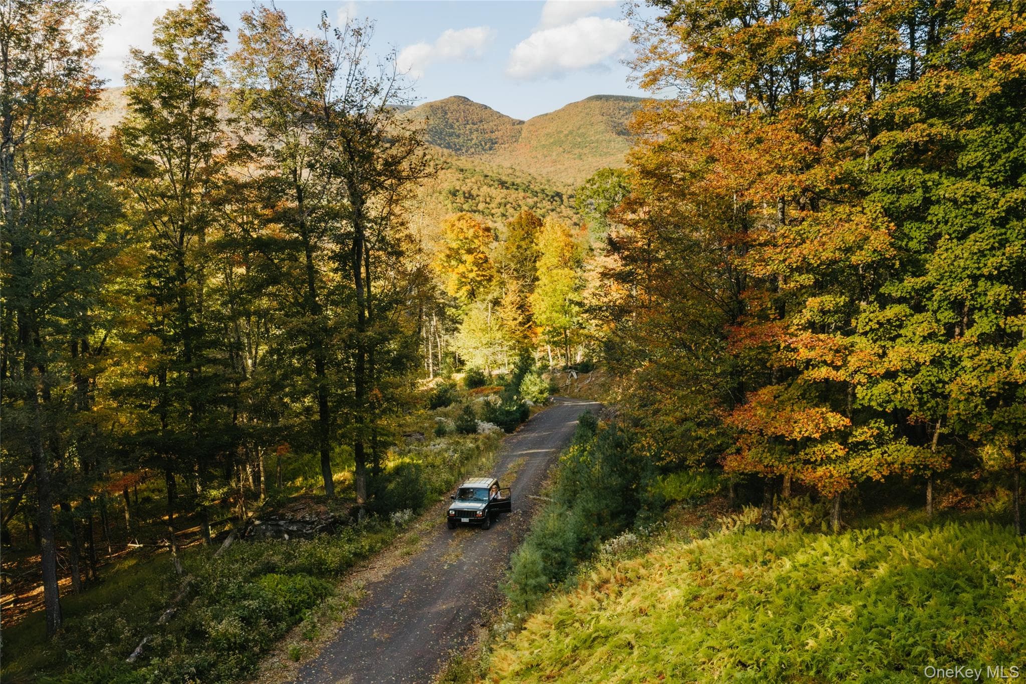 TBD Macdaniel Road photo 1