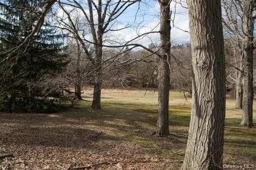 182 Tuxedo Road thumbnail 5