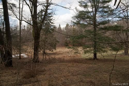 182 Tuxedo Road thumbnail 6