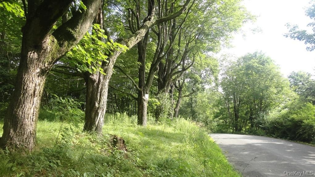 Henry Road, Cragsmoor