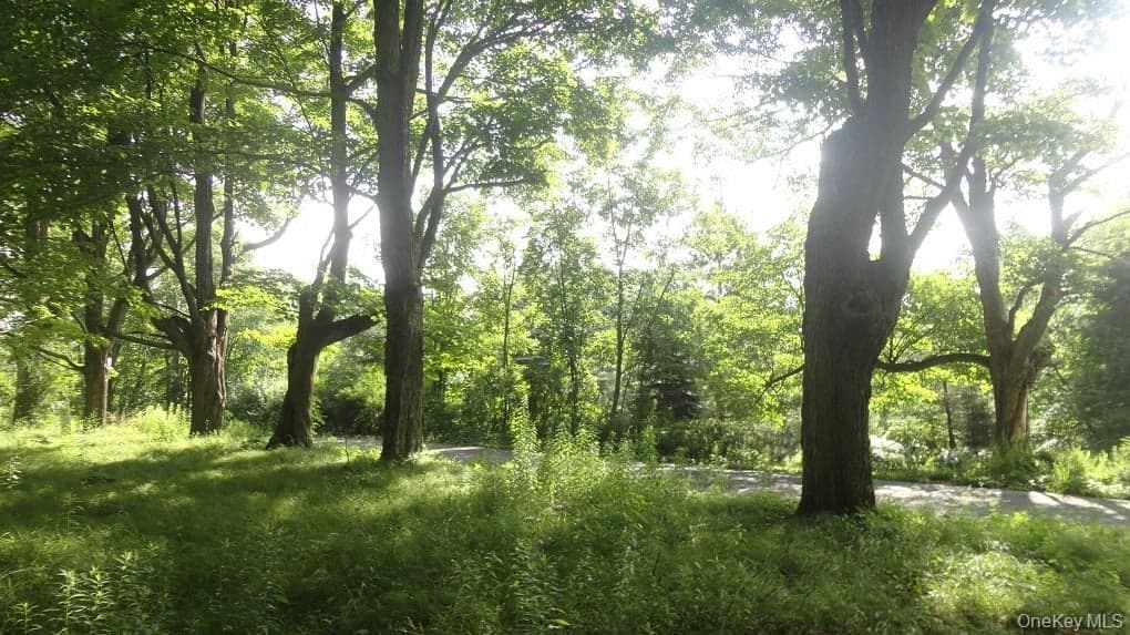 Henry Road thumbnail 9