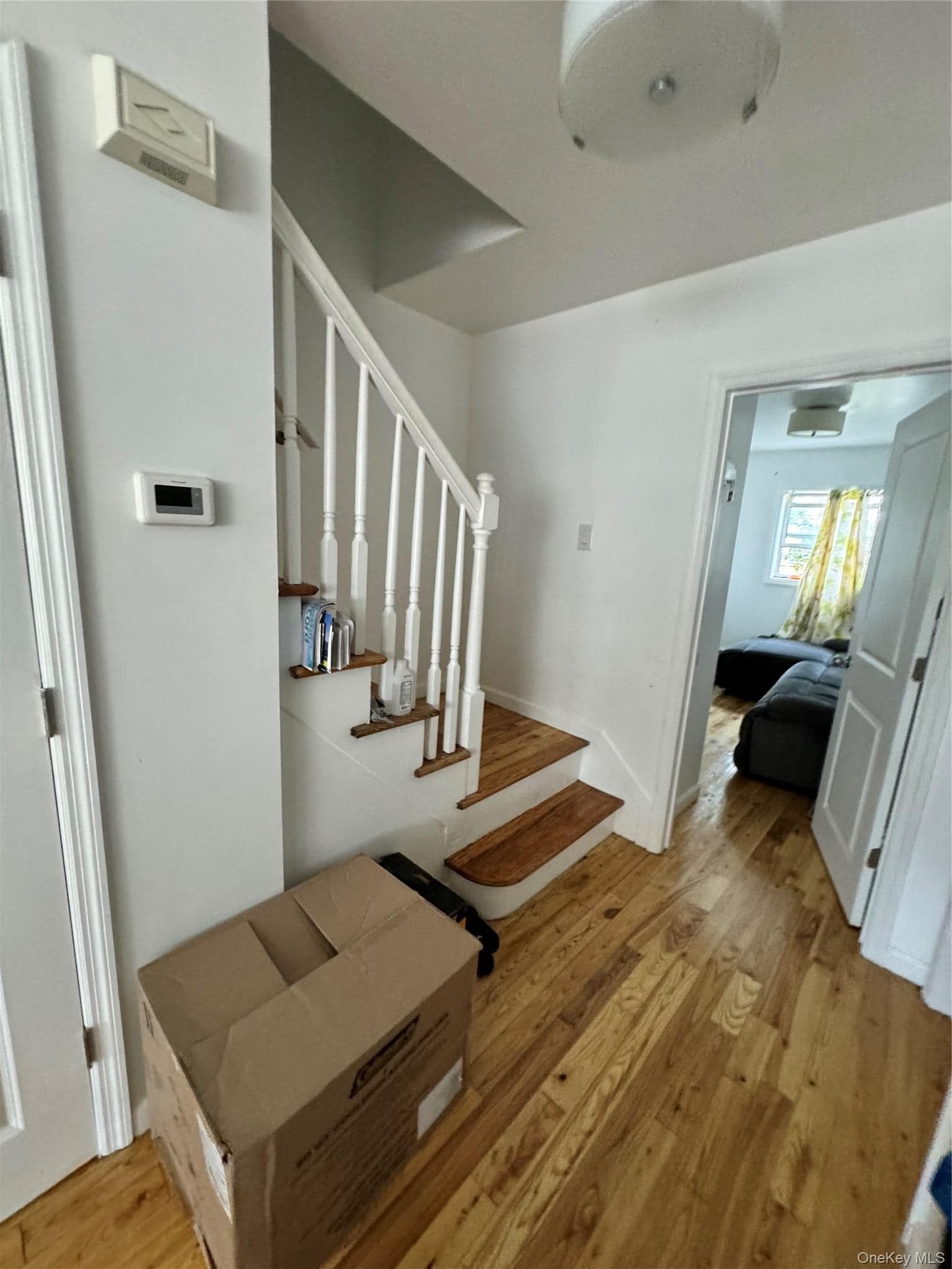 648 E 93rd Street thumbnail 23