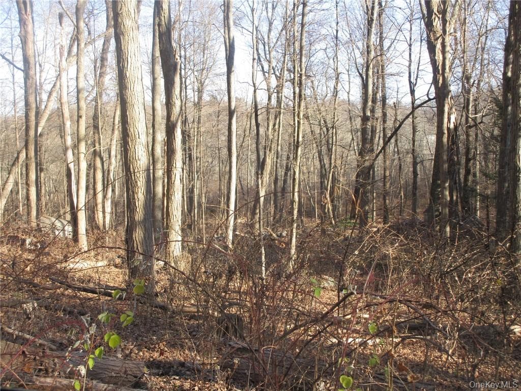 Brookside/bear Mtn Parkway Avenue thumbnail 5