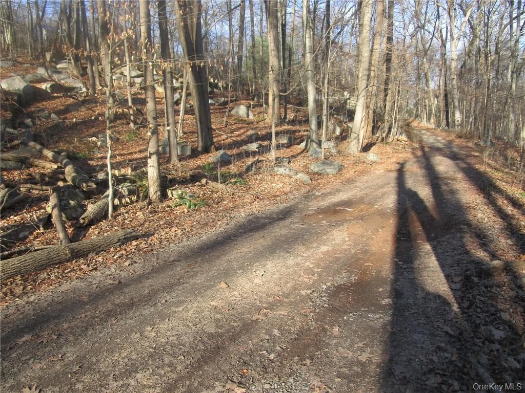 Brookside/bear Mtn Parkway Avenue thumbnail 3