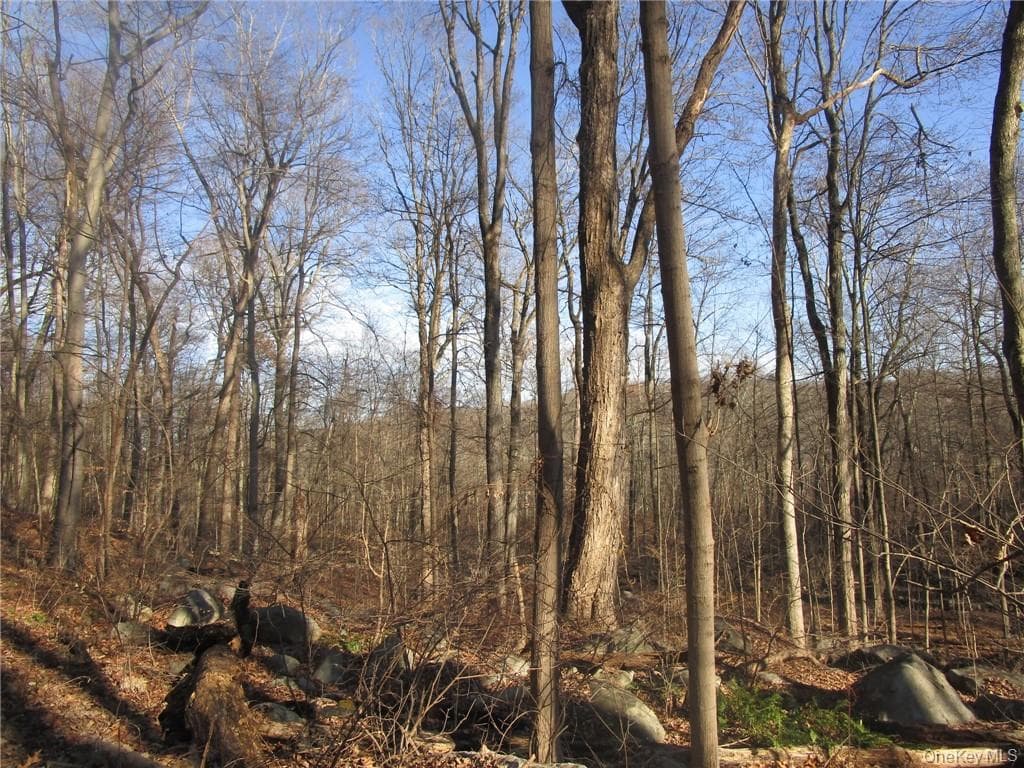 Brookside/bear Mtn Parkway Avenue thumbnail 4