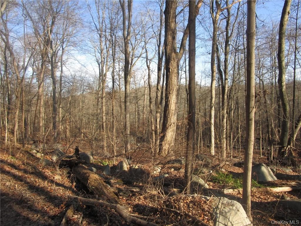 Brookside/bear Mtn Parkway Avenue thumbnail 2