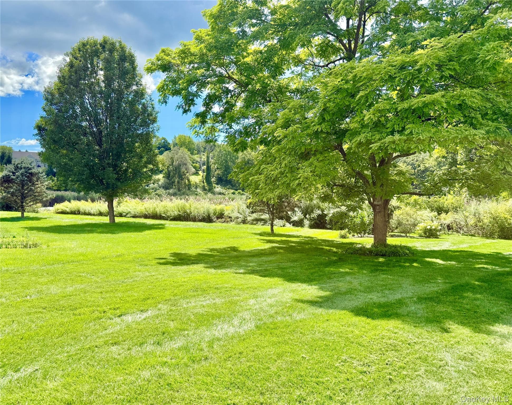 41 W Deer Trail thumbnail 18