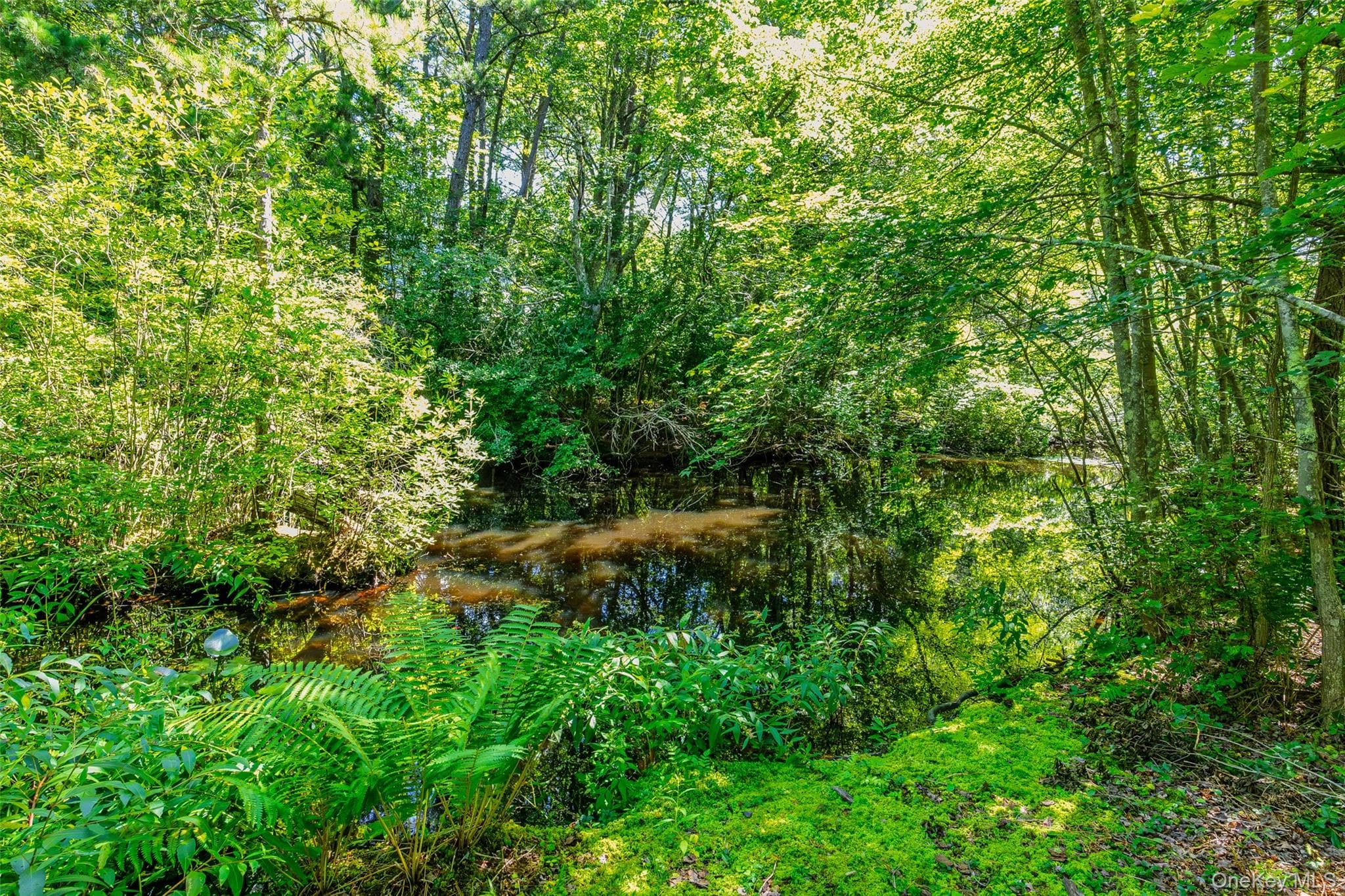 18 Beaver Lane thumbnail 4