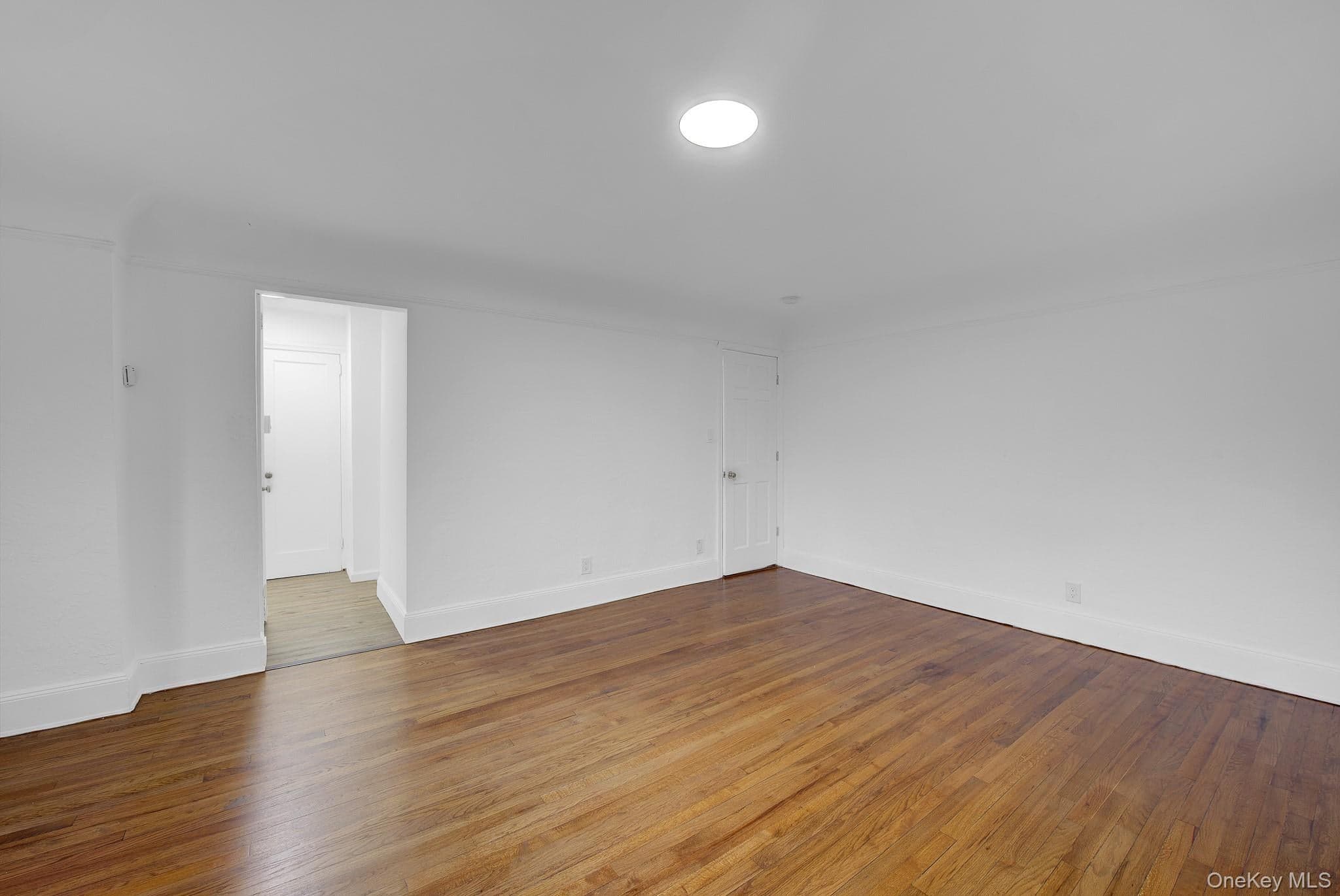 54 Surrey Lane thumbnail 21