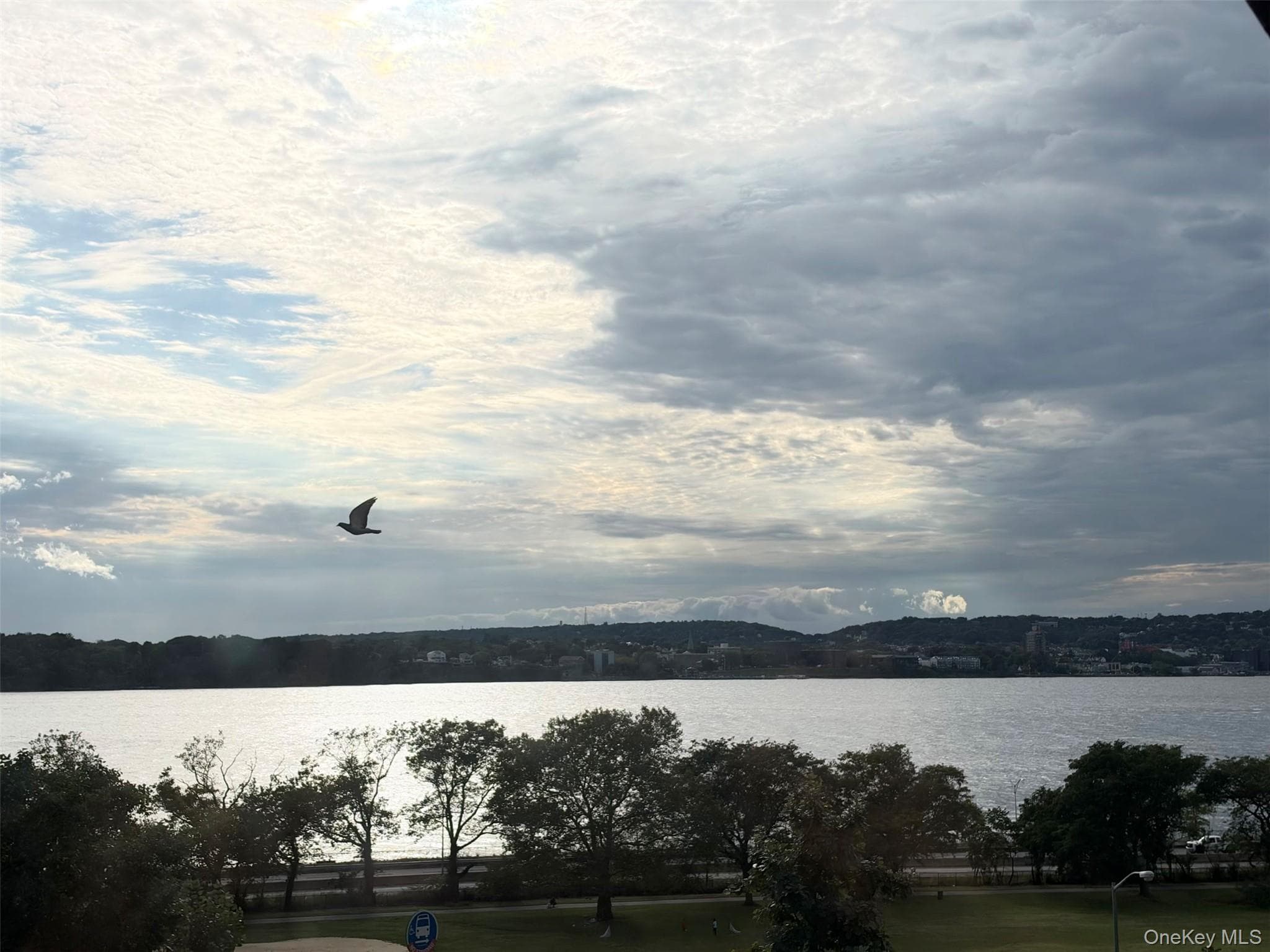 9701 Shore Road Unit: 20 thumbnail 16