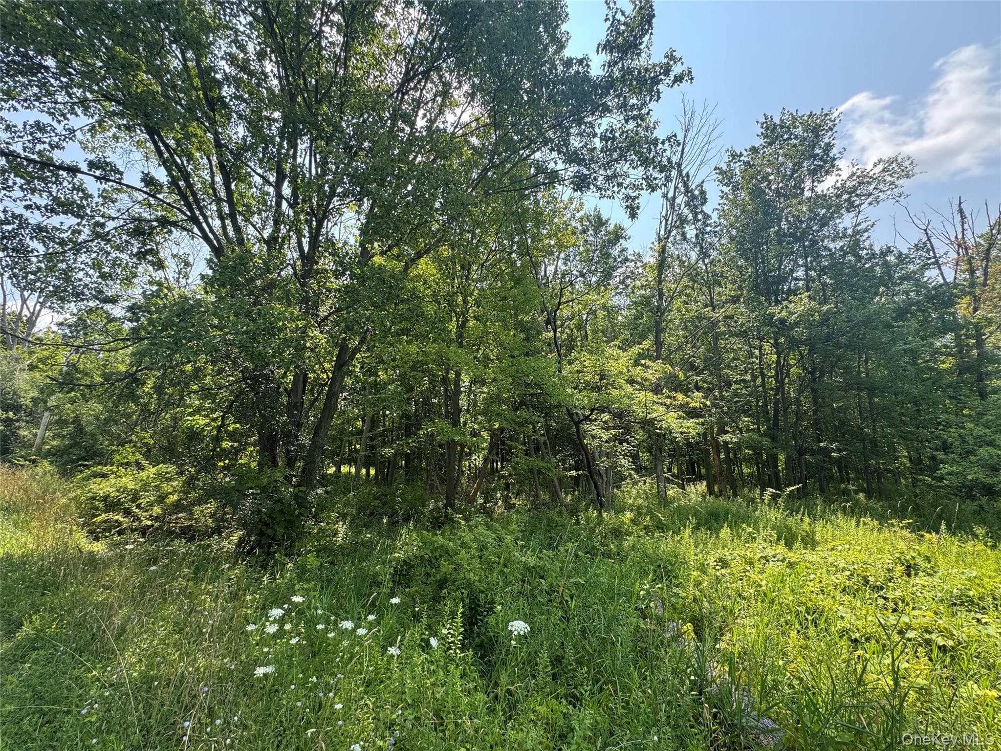 114 Highland Lake Road thumbnail 3