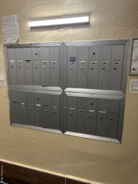 2431 Crotona Avenue thumbnail 10