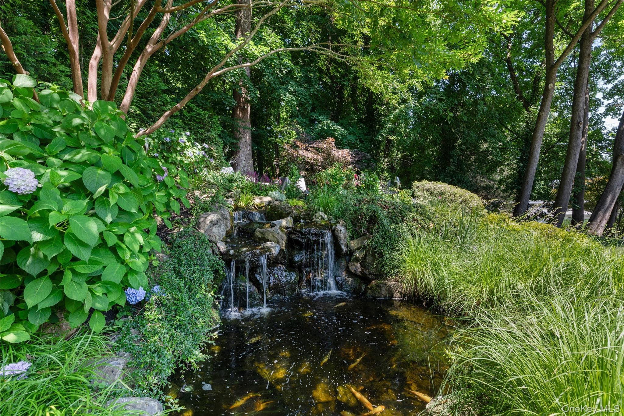 353 E Shore Road thumbnail 25