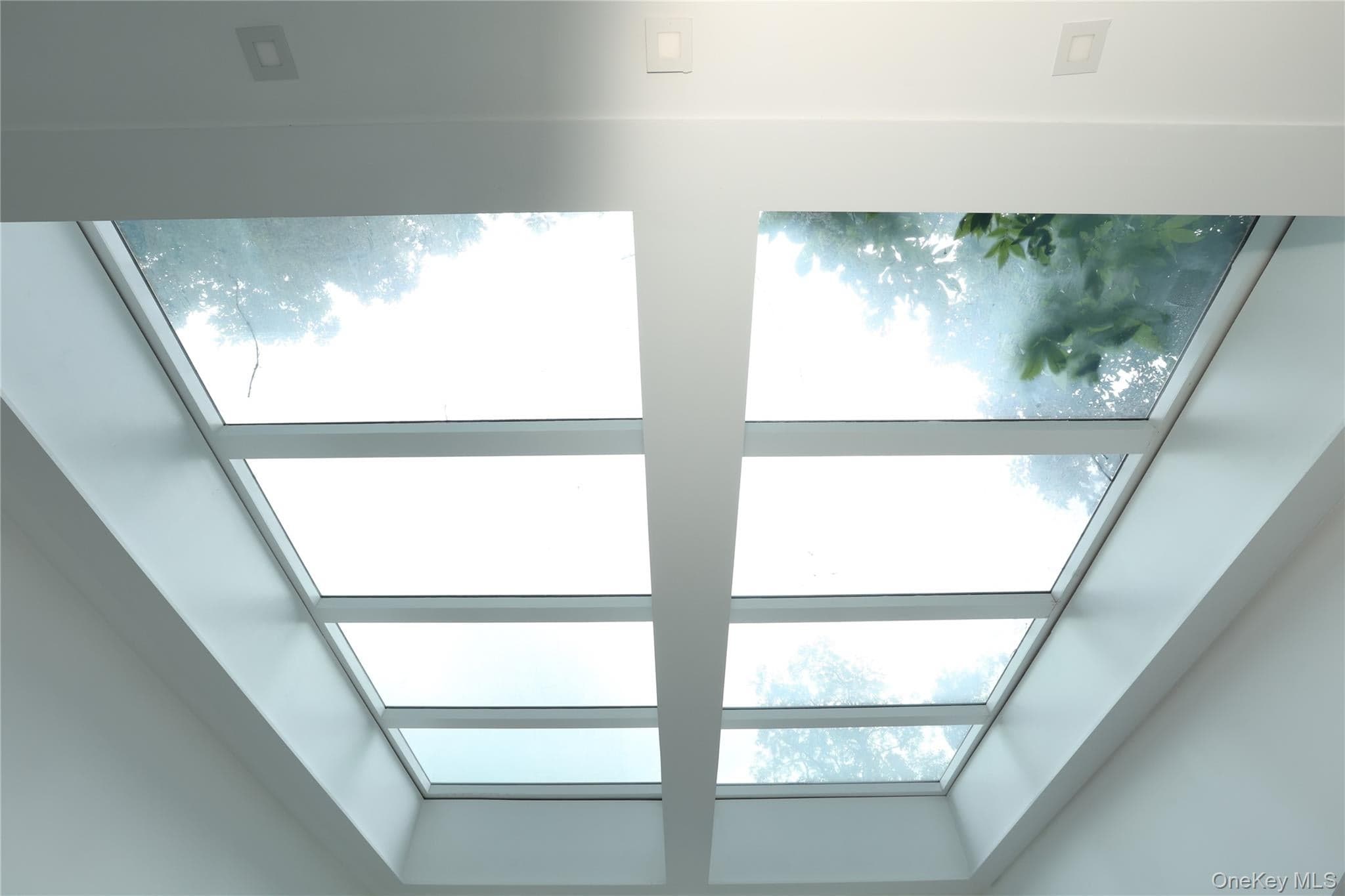 29 Albert Drive thumbnail 6