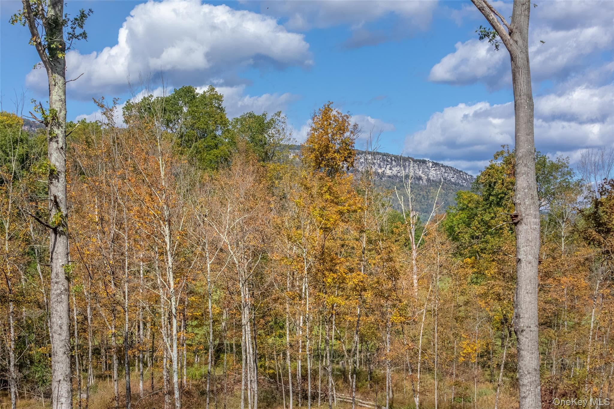 100 Tillson Lake Road thumbnail 3
