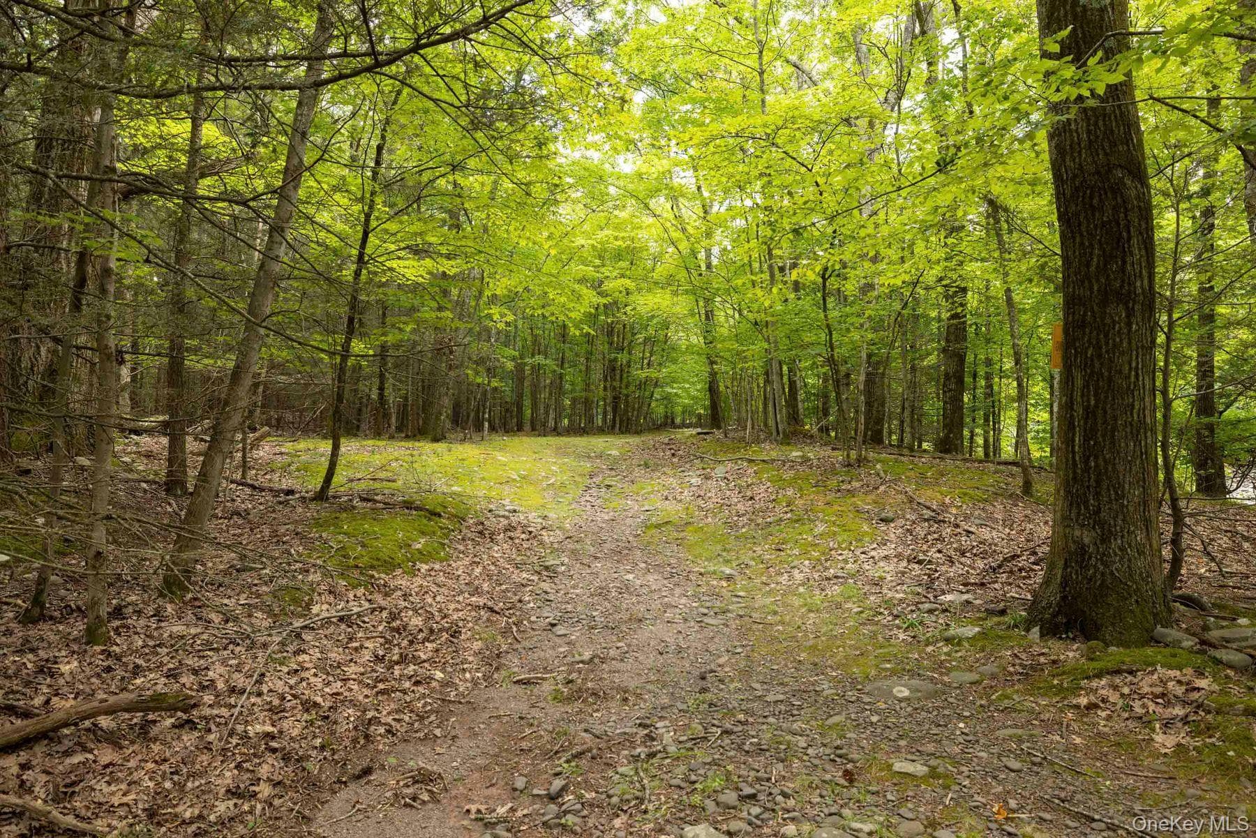 61 Woodland Falls Road thumbnail 42