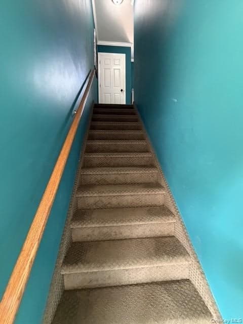 100 Connetquot Ave AVE Unit: 36 thumbnail 8
