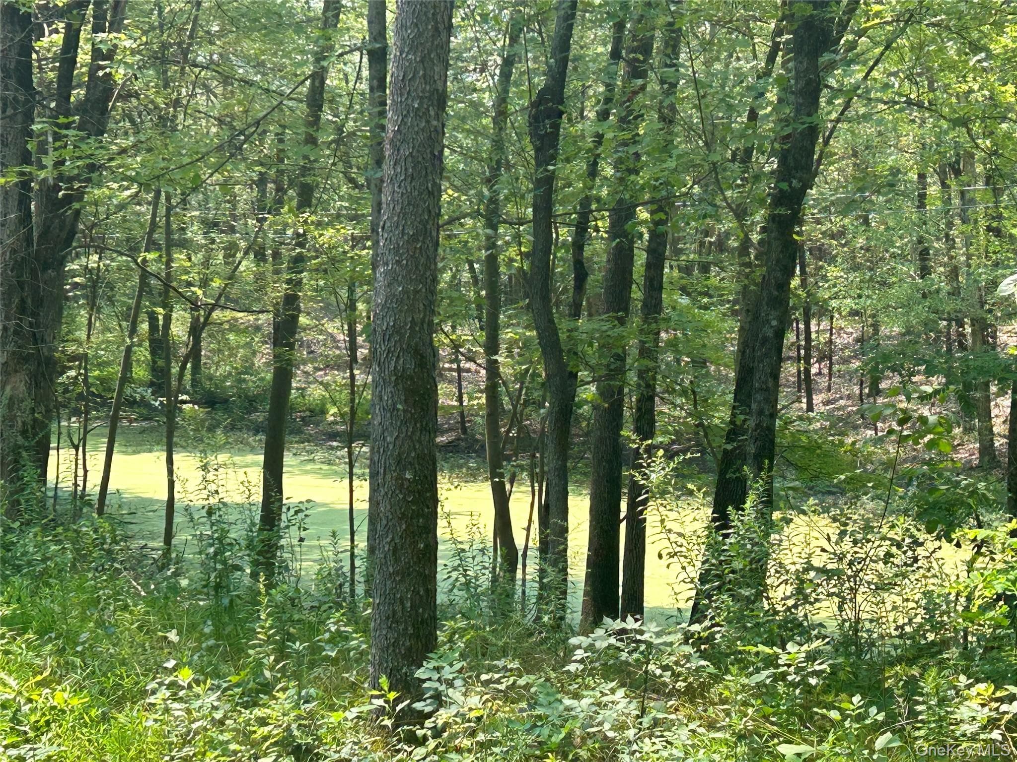 White Schoolhouse Road thumbnail 9