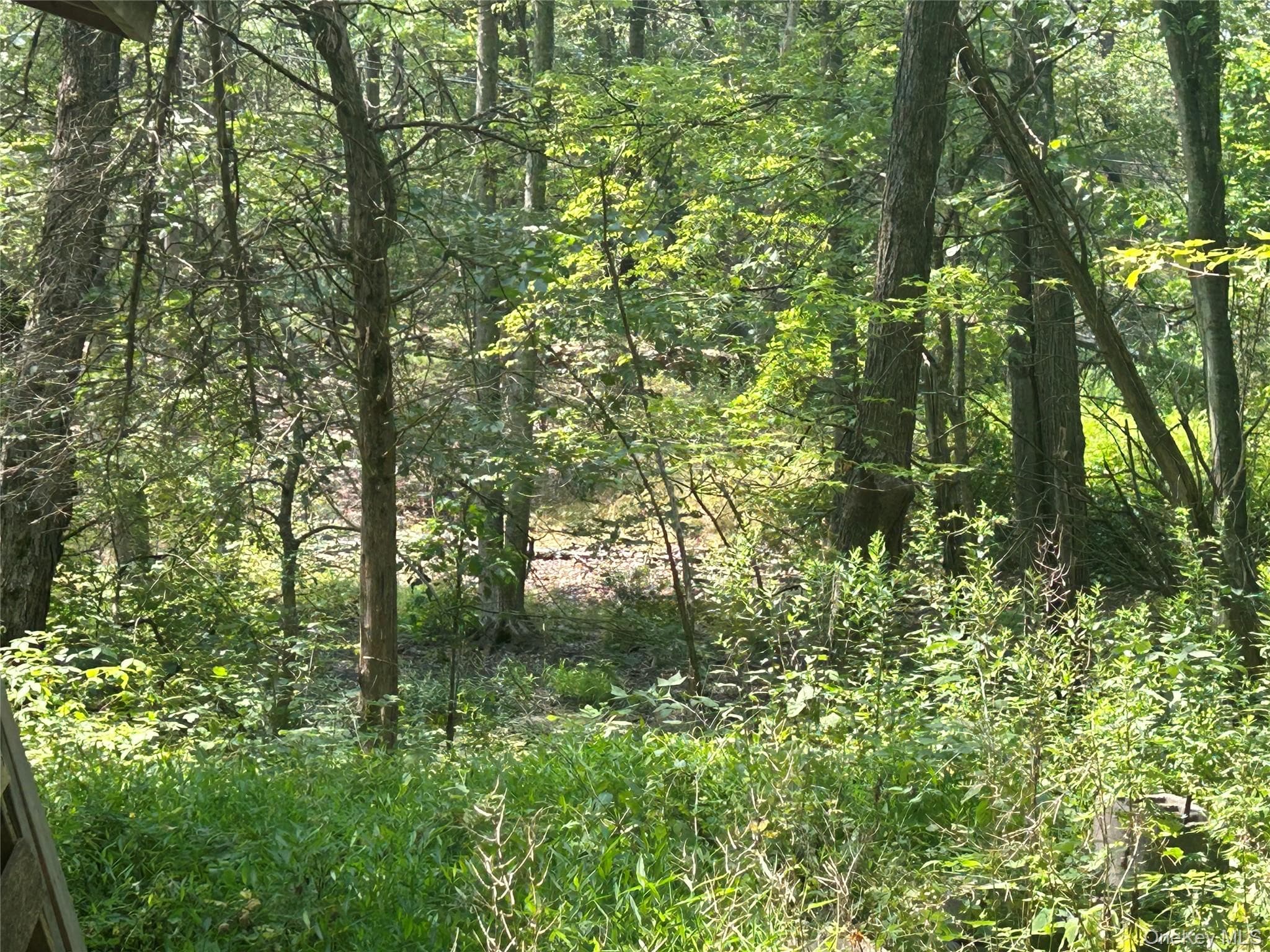 White Schoolhouse Road thumbnail 10