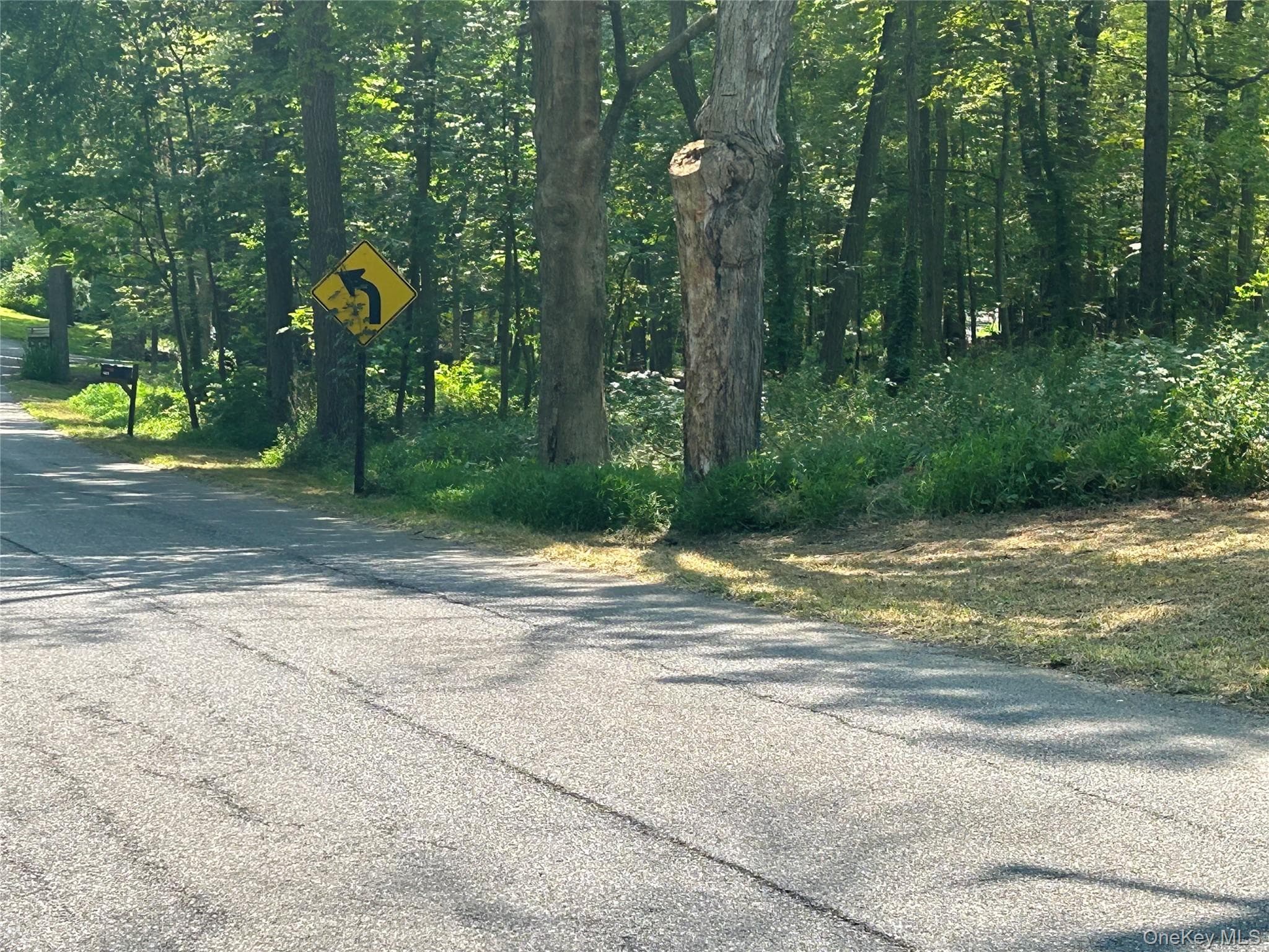 White Schoolhouse Road thumbnail 6