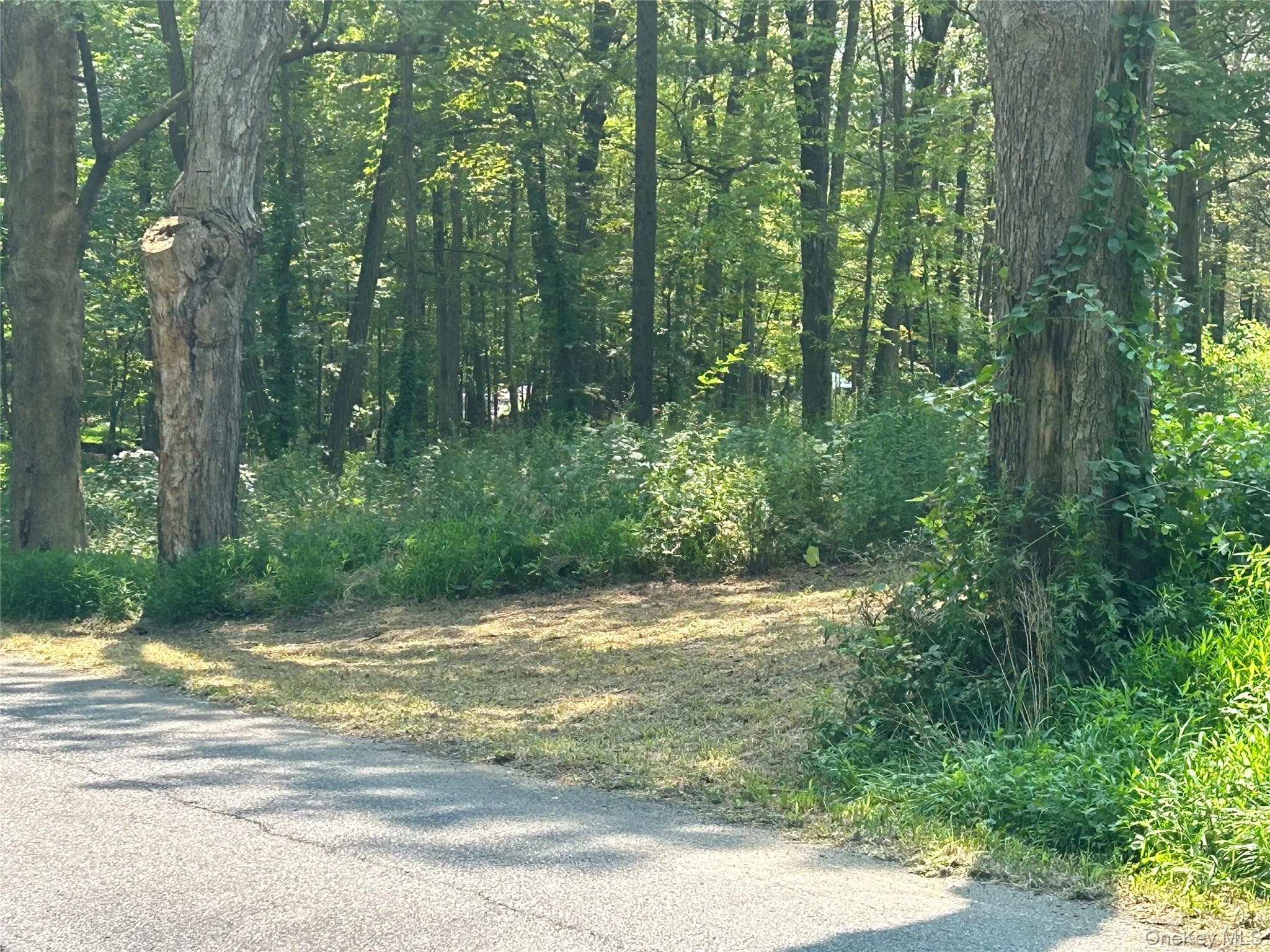 White Schoolhouse Road thumbnail 5