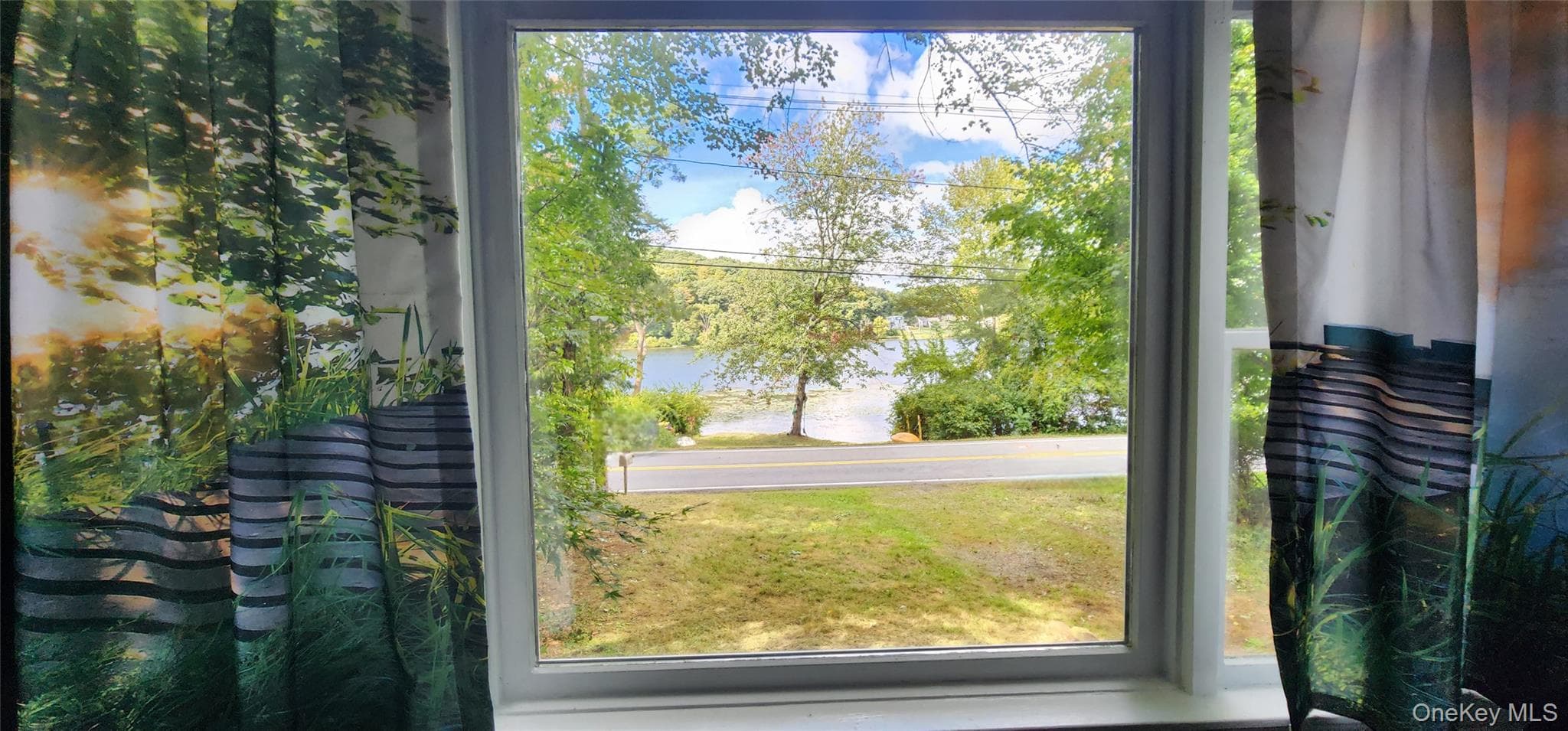 752 Hunns Lake Road thumbnail 5